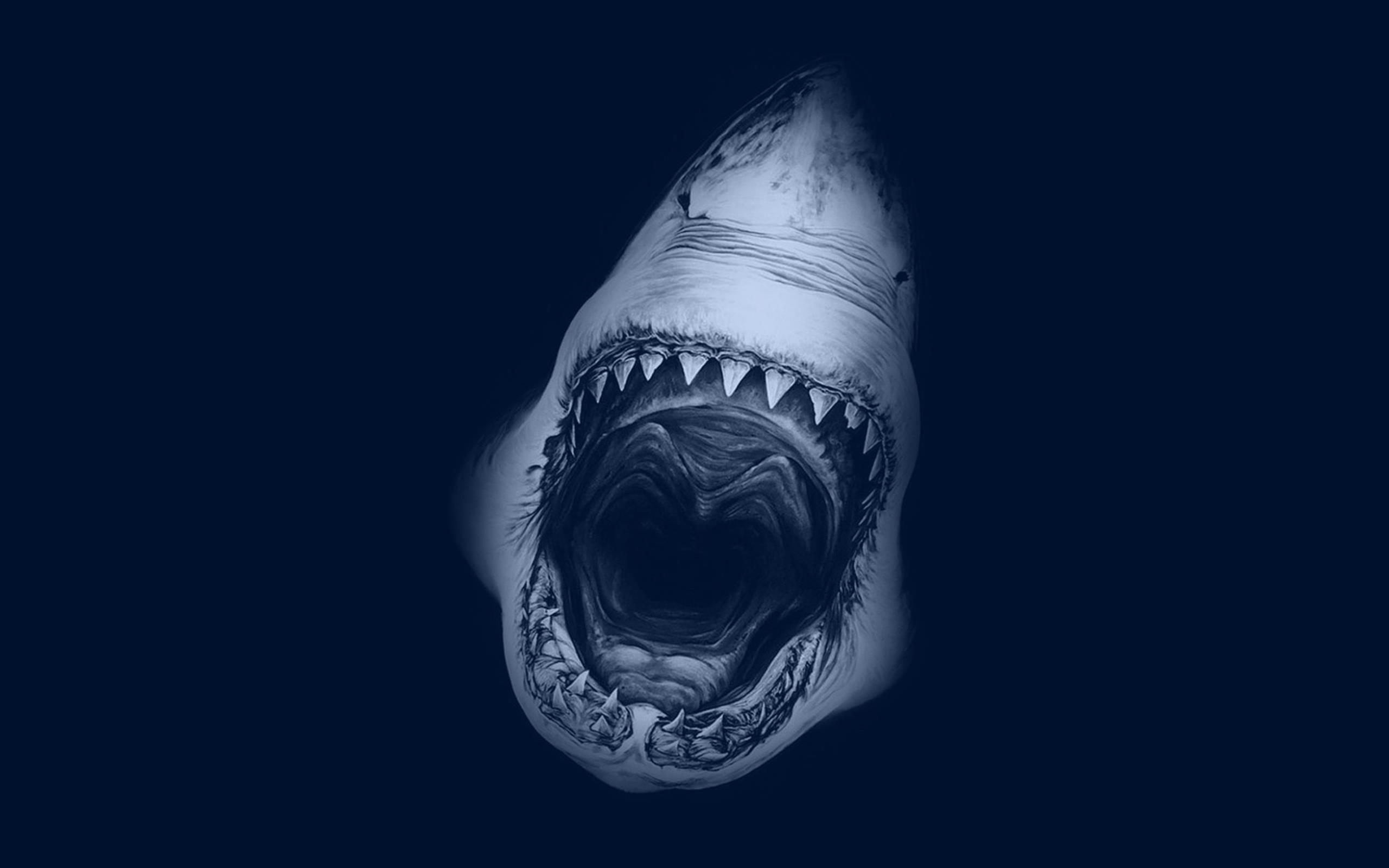 food and drink, representation, teeth, studio shot, black background, one animal, copy space, bone, open mouth, shark, 2K, animal themes, indoors, fish, HD Wallpaper