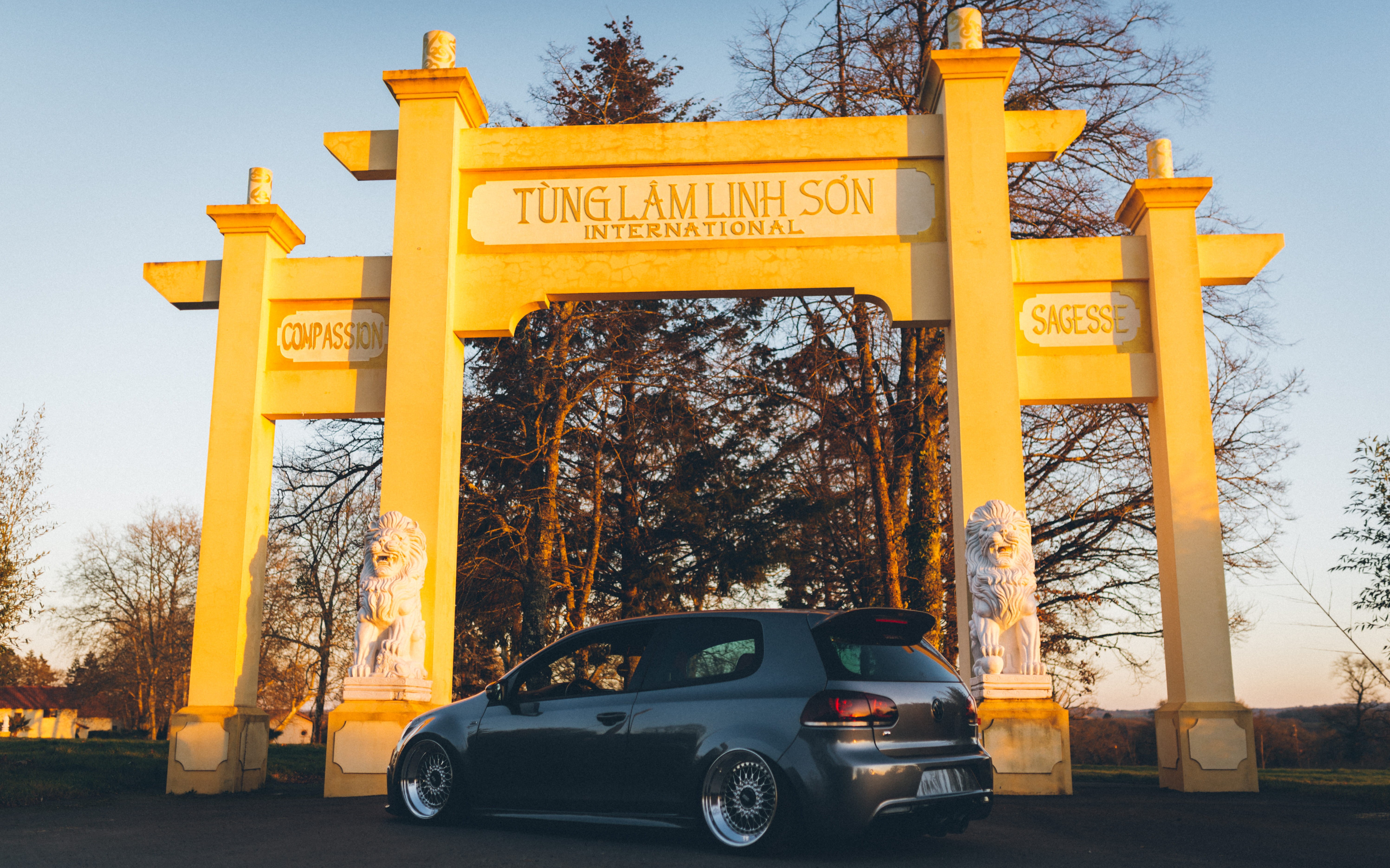 tree, alloy wheel, near, architecture, wildlife, text, built structure, outdoors, transportation, tire, sign, lam, sky, yellow, land vehicle, motor vehicle, HD Wallpaper
