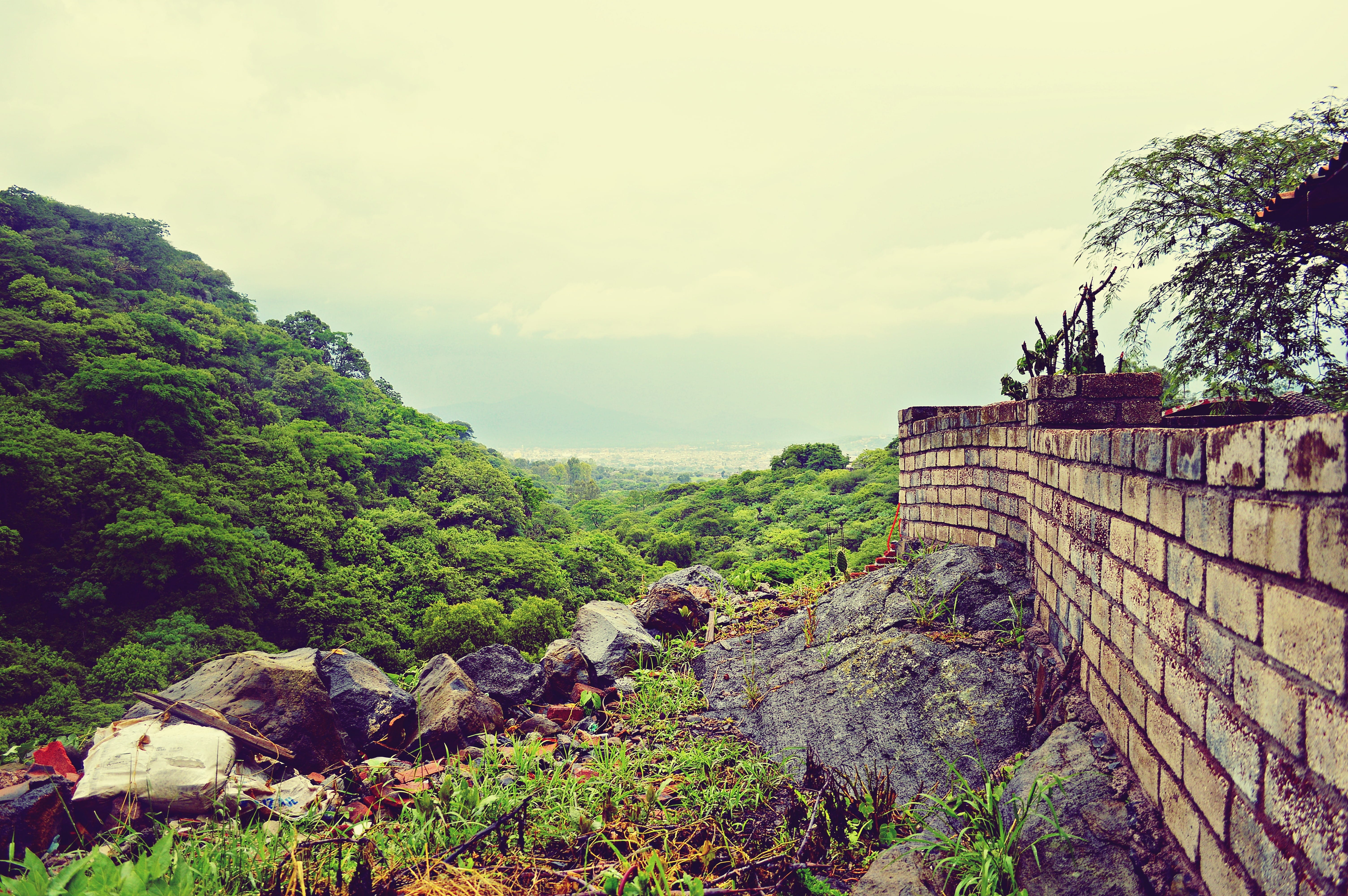 mountain, forest, natural, plant, green color, ismael nieto, ancient civilization, built structure, tranquility, 5K, landscape, tranquil scene, green, HD Wallpaper