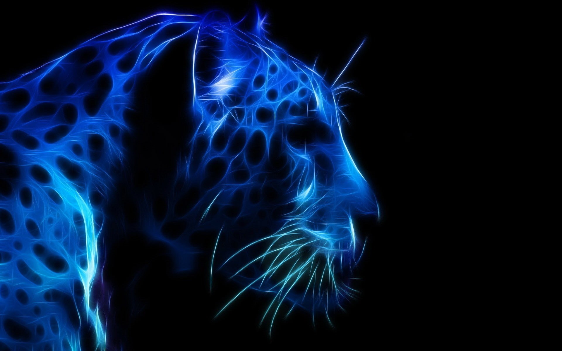 light - natural phenomenon, clipart, face, black background, art and craft, pattern, the dark background, 3D graphics, illuminated, profile, abstract, leopard, HD Wallpaper