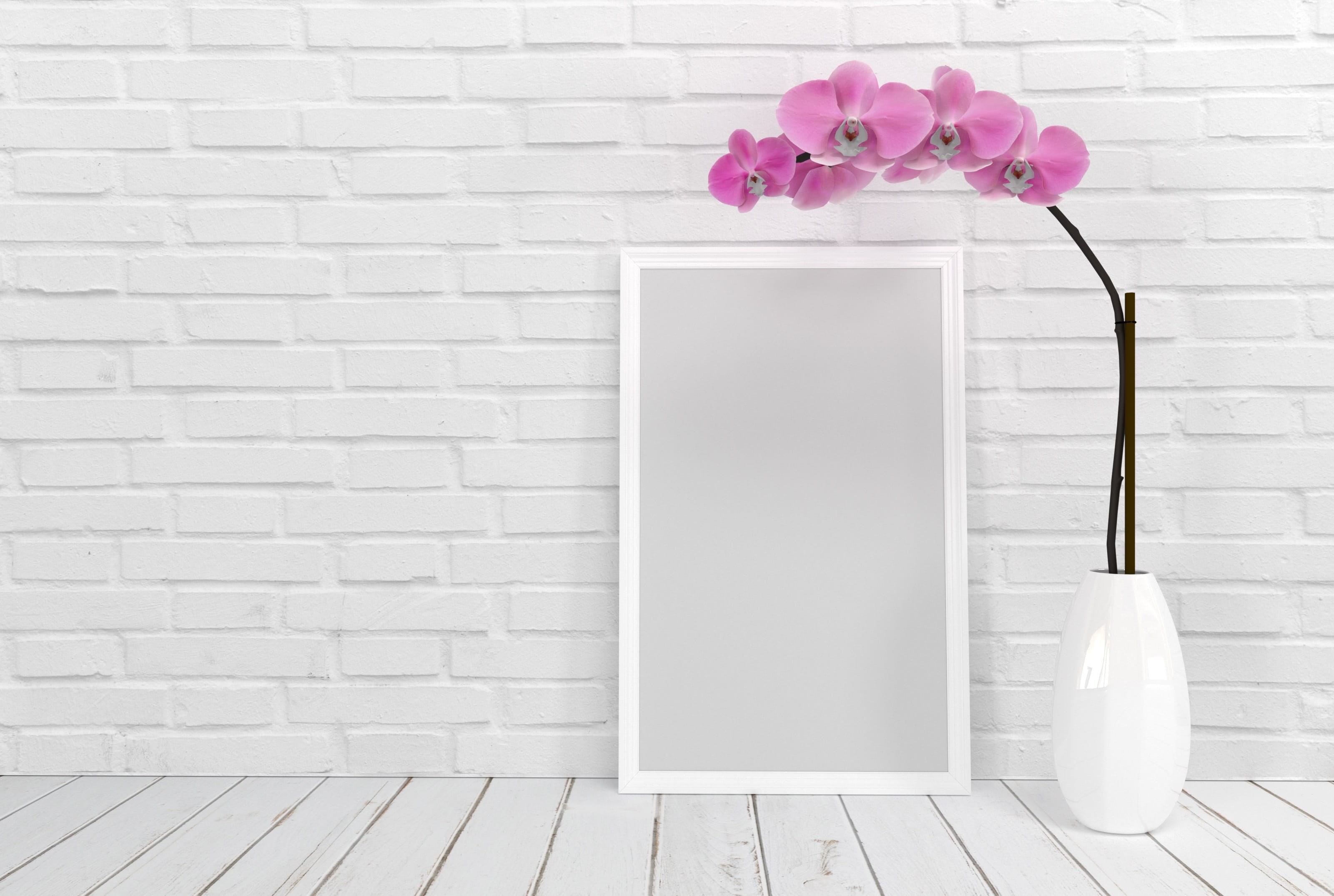 outdoors, plant, brick wall, photo, freshness, orchid, copy space, message, technology, nature, white, beauty in nature, space, mockup, container, flower, HD Wallpaper