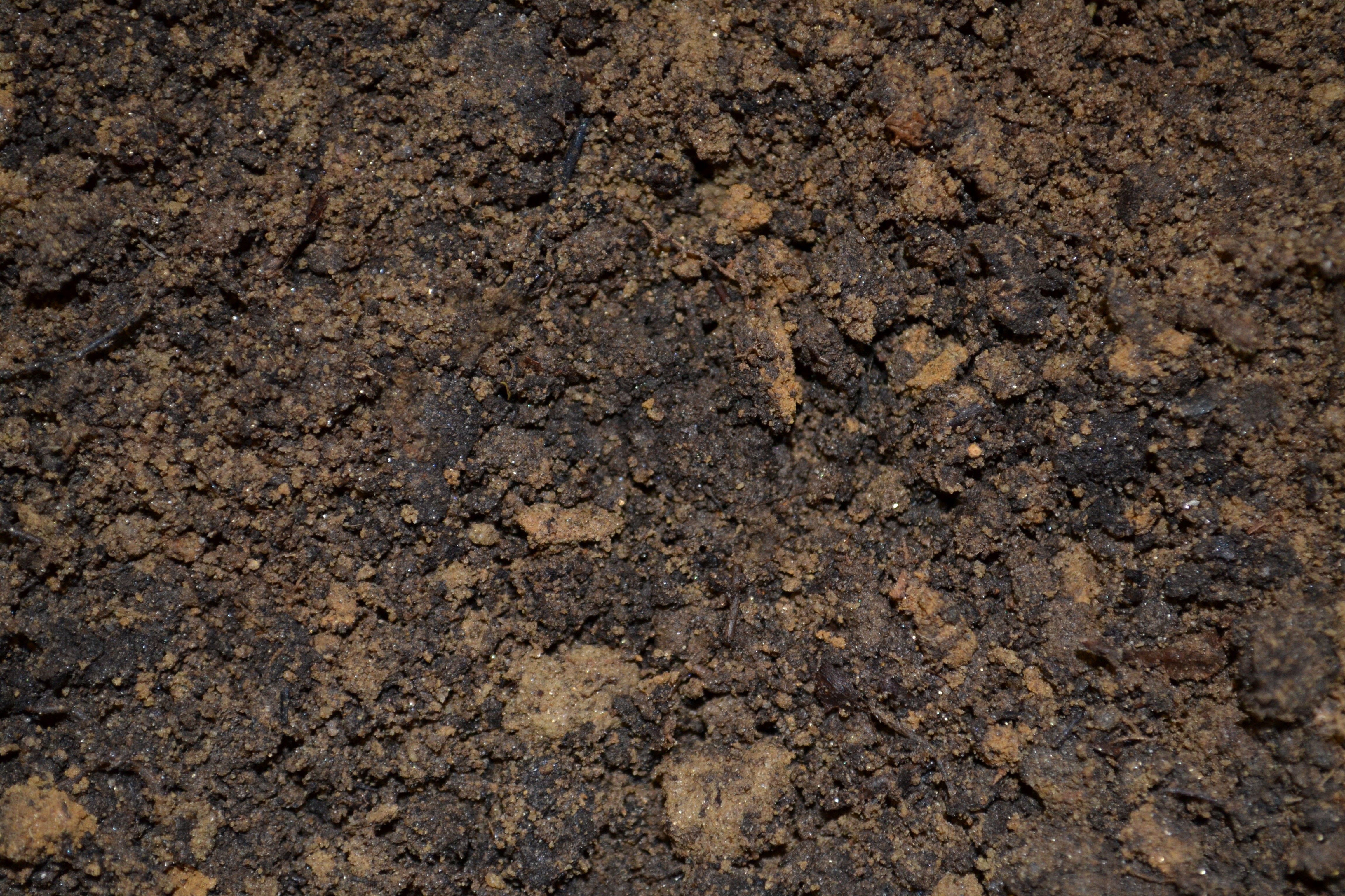 mix, brown, land, nature, rough, potting, natural, cultivated, outdoors, abstract backgrounds, dirt, garden, concrete, stone - object, gardening, 4K, grow, HD Wallpaper