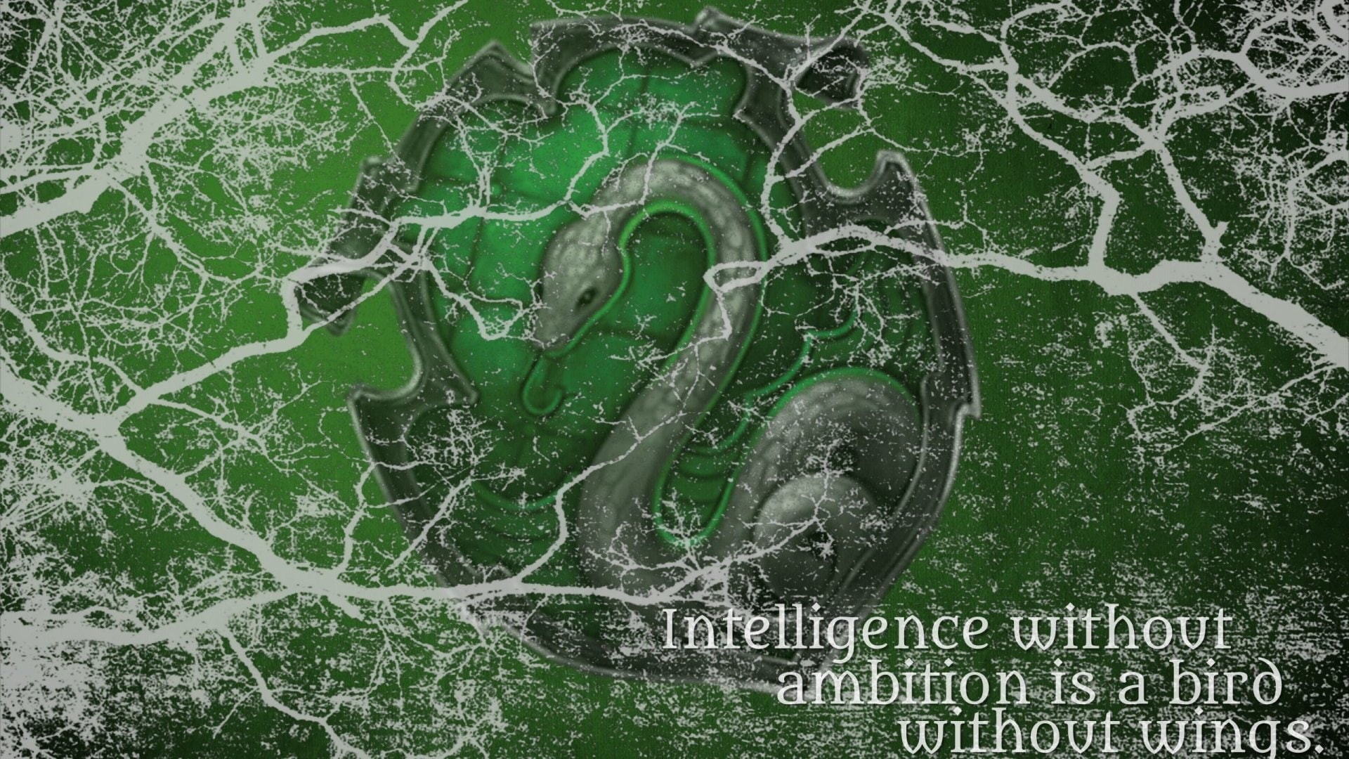 1080P, Snake, Slytherin, Harry Potter, HD Wallpaper