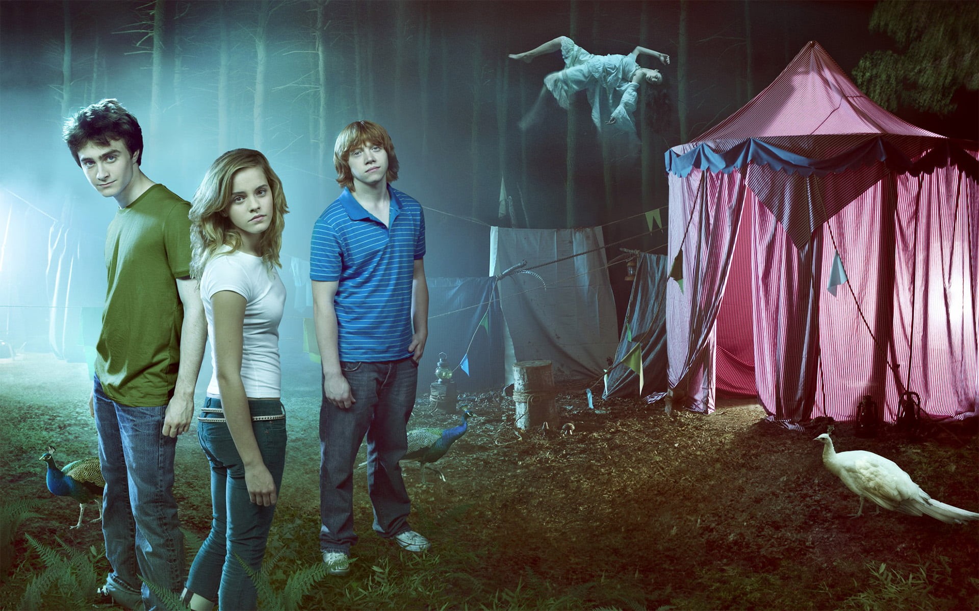 young men, women, bonding, floating, men, Harry Potter, full length, tent, leisure activity, Hermione Granger, potter, standing, young women, HD Wallpaper