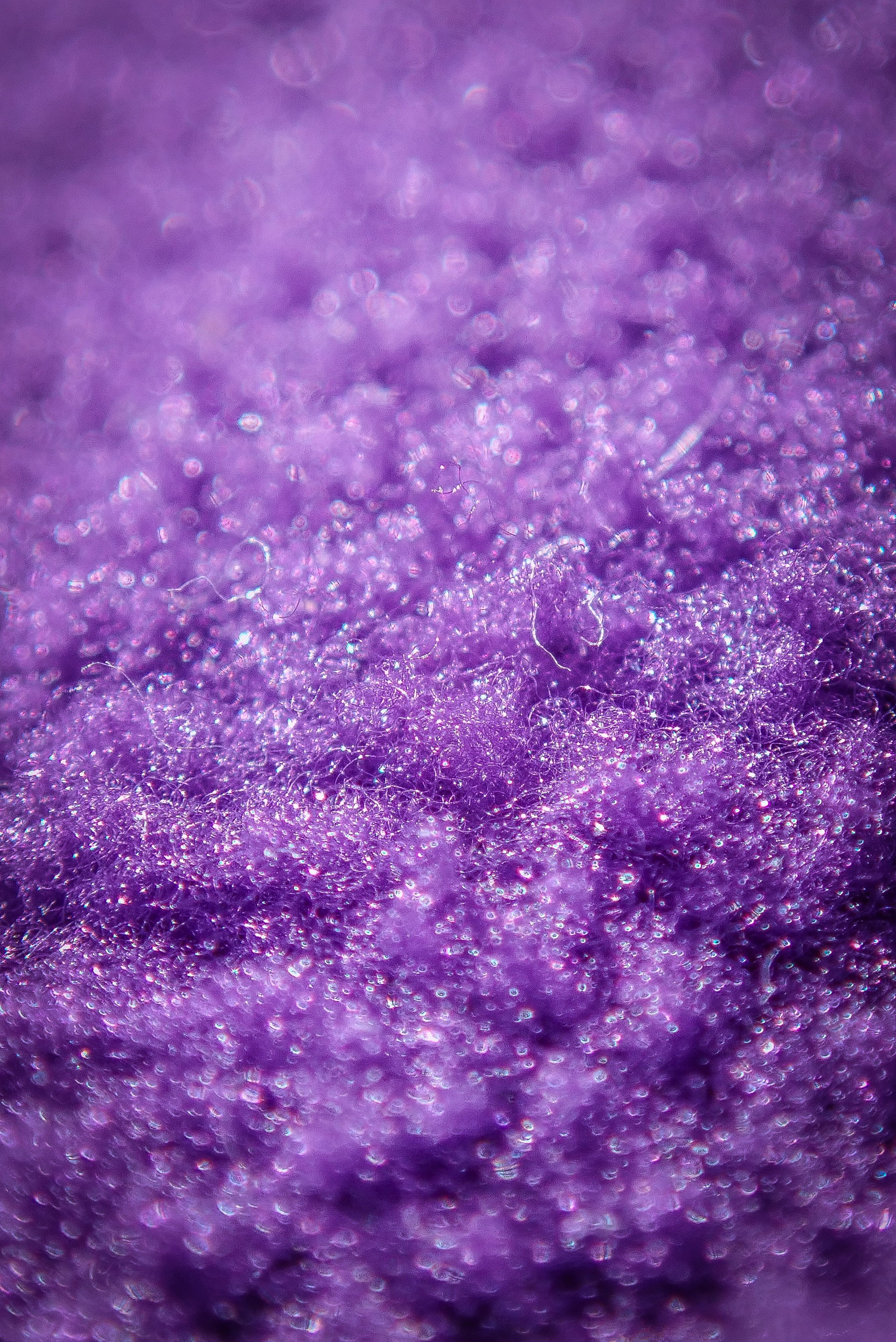 no people, veins, 4K, snowflake, bib, close-up, plant, magenta, technology, softness, foam, extreme close-up, nature, textured, copy space, bazaar, backgrounds, Phone HD Wallpaper