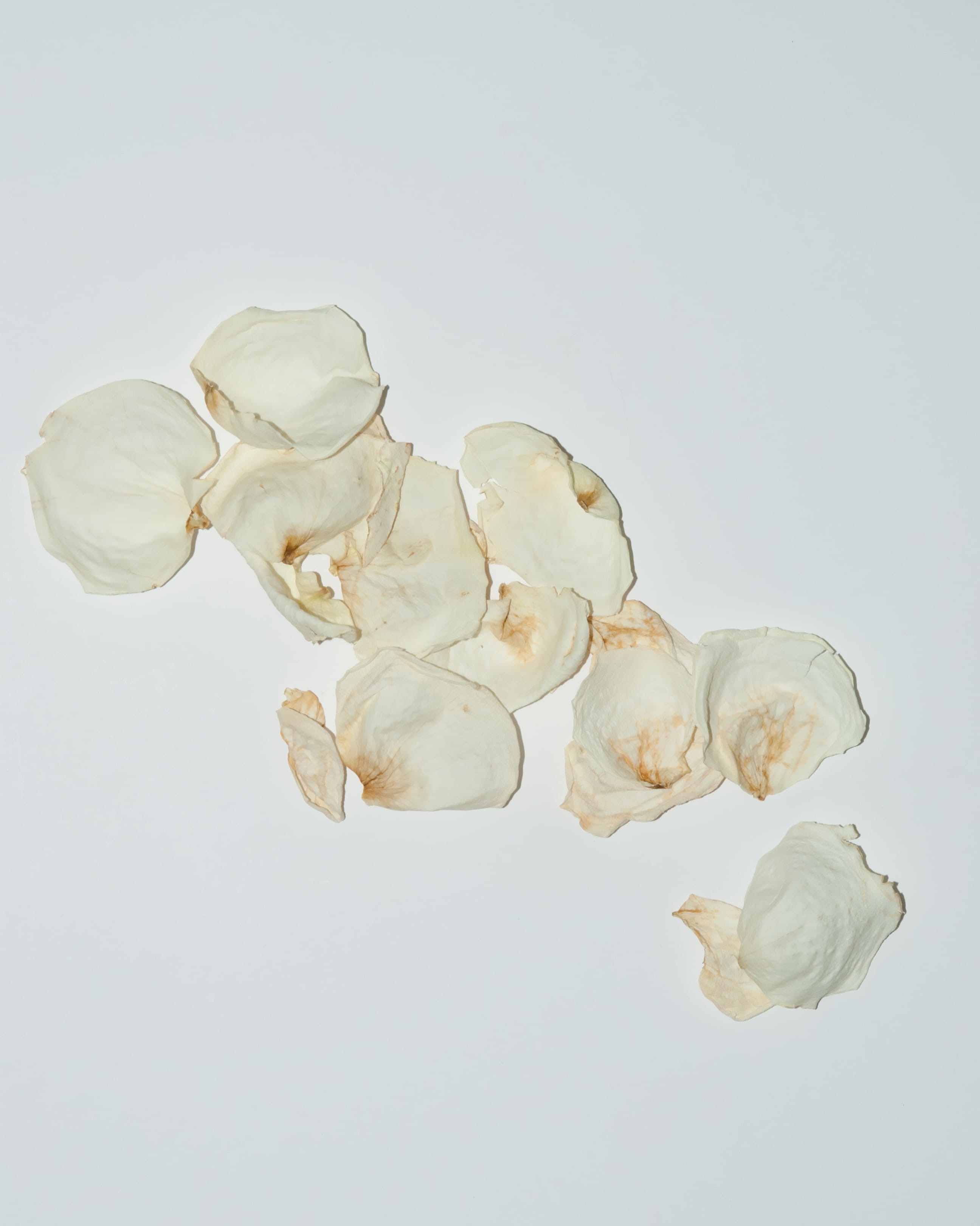 no people, gray, garlic, invertebrate, nature, fondue, 2K, mayonnaise, white background, bib, angry birds, vegetable, popcorn, group of objects, dating, Phone HD Wallpaper
