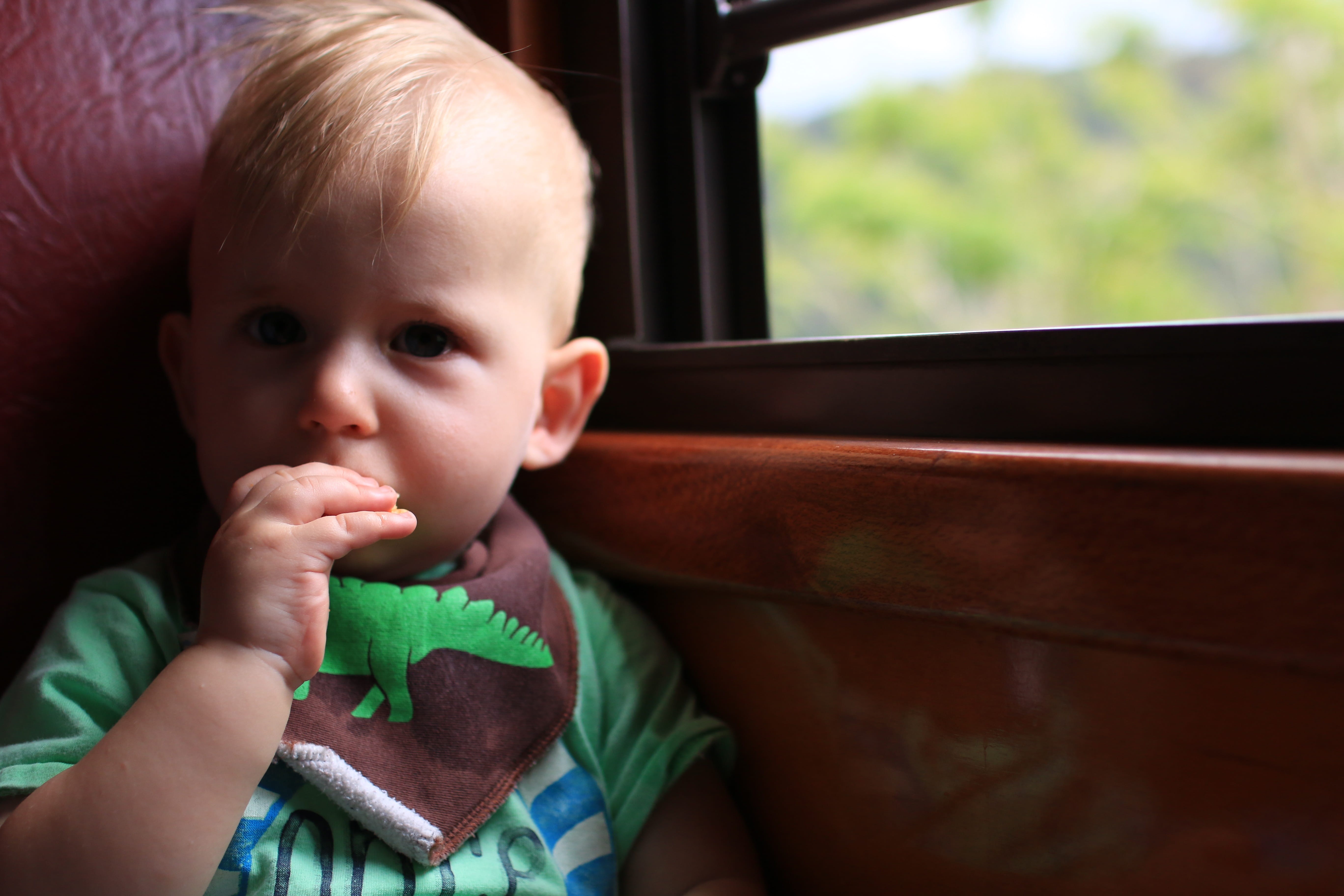 boys, males, baby, bib, one person, cute, headshot, window, portrait, eating, young, childhood, child, 5K, innocence, real people, front view, close-up, HD Wallpaper