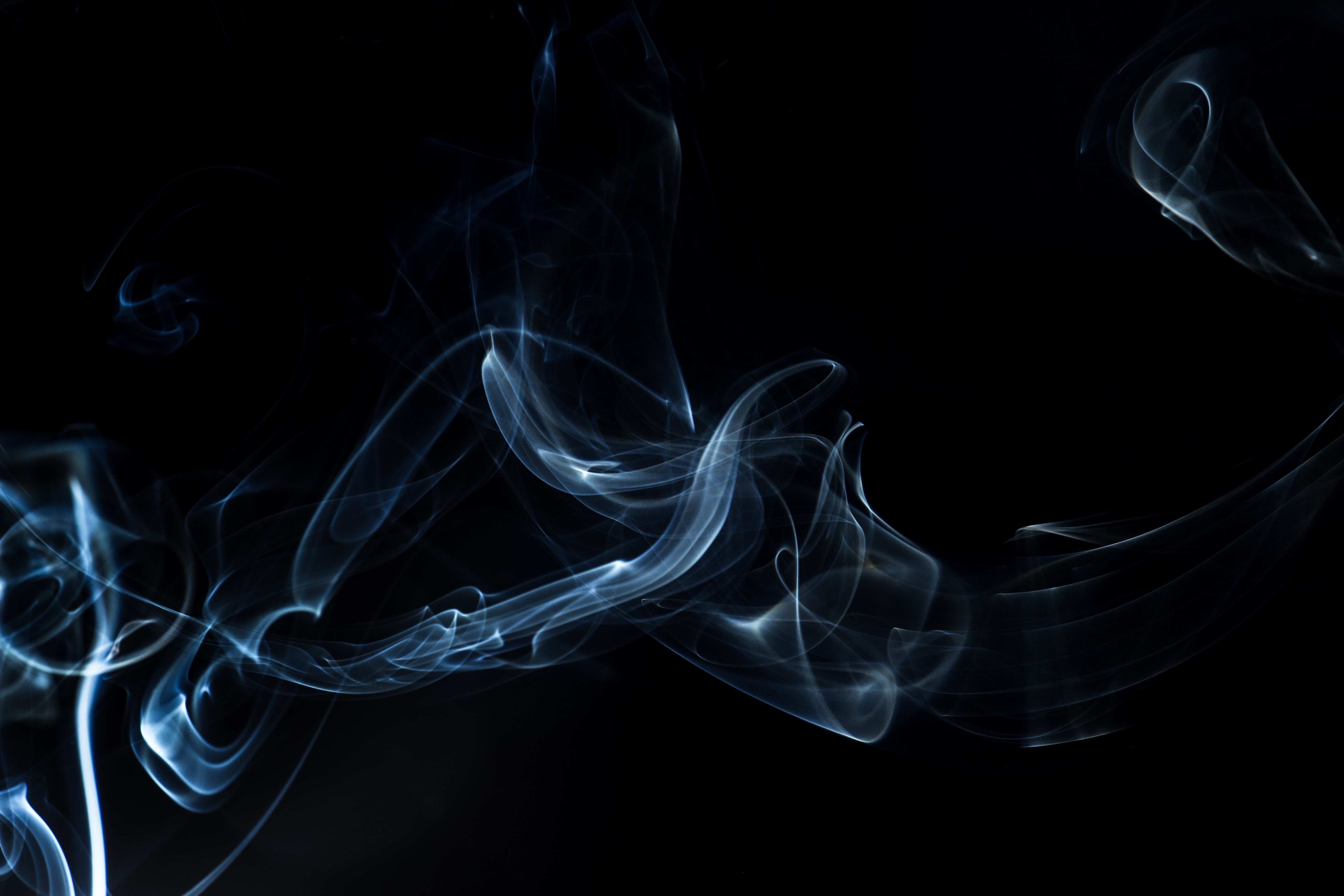 shape, pattern, changing form, flowing, black Color, close-up, fragility, motion, curve, dark background, smoke, art, no people, copy space, white, air, HD Wallpaper