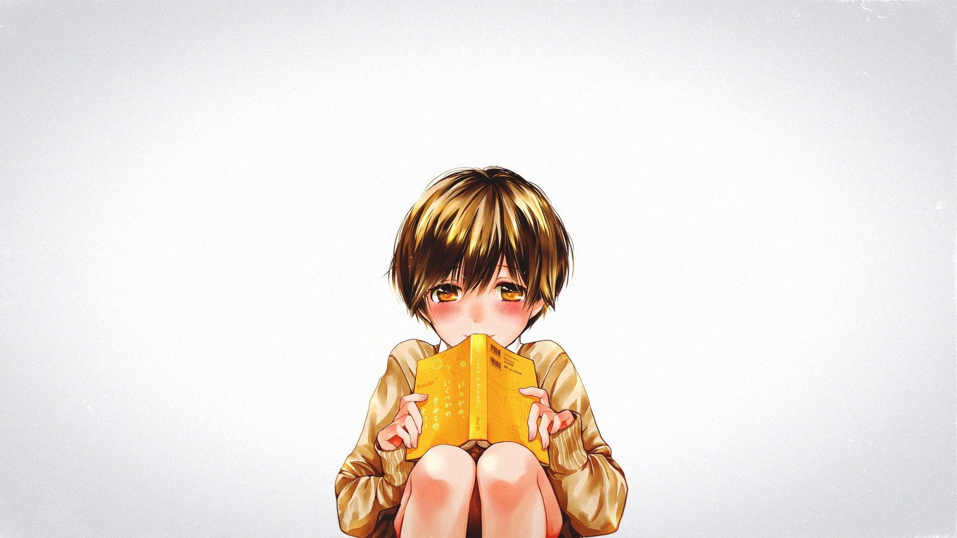looking at camera, preschool student, indoors, portrait, offspring, bokura wa minna kawaisou anime girls kawai ritsu anime, hair, childhood, boys, men, HD Wallpaper