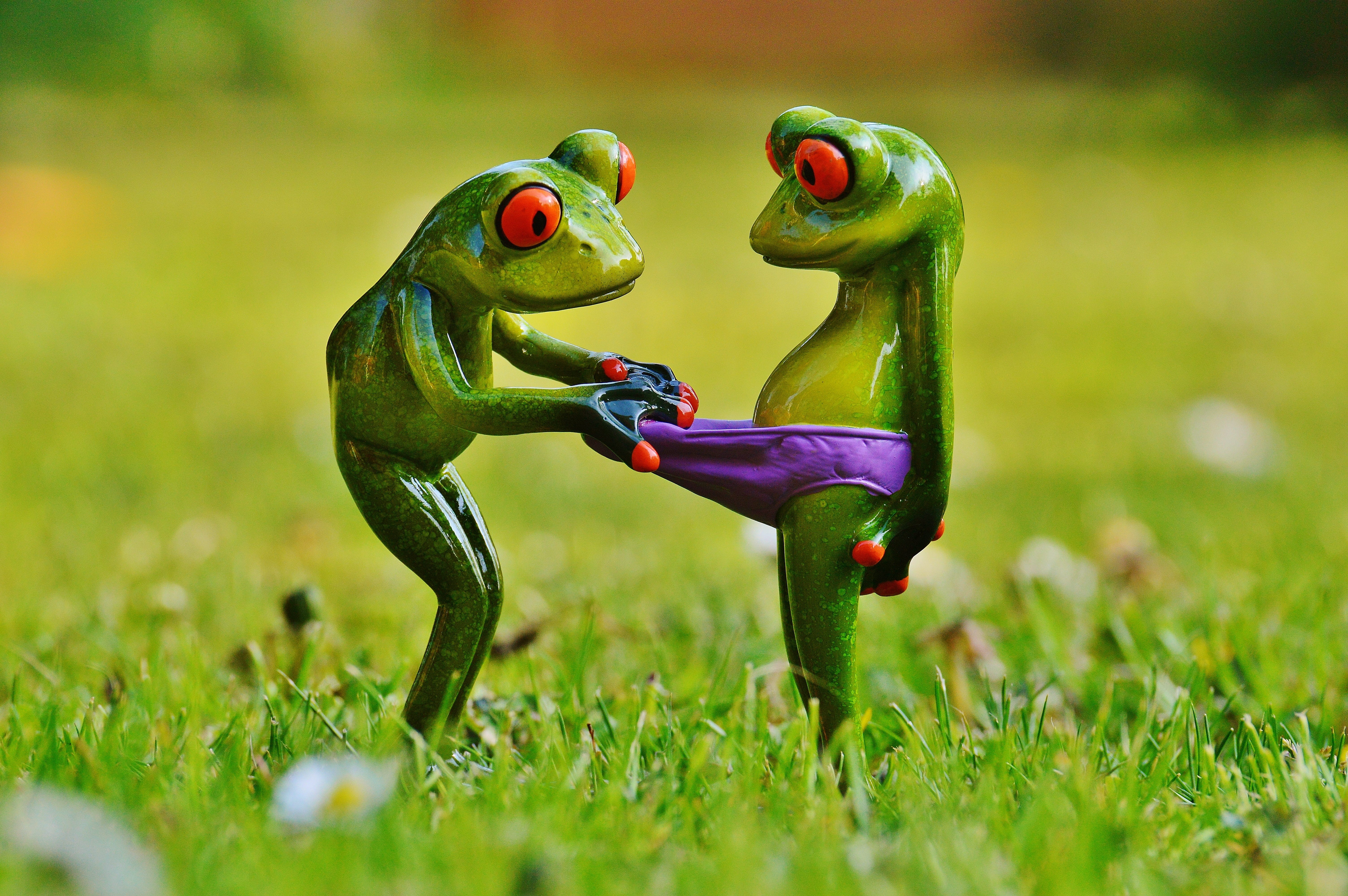 frog, Fun, Frogs, animal representation, selective focus, 5K, figure, no people, land, field, grass, animal, figurine, funny, representation, nature, outdoors, HD Wallpaper