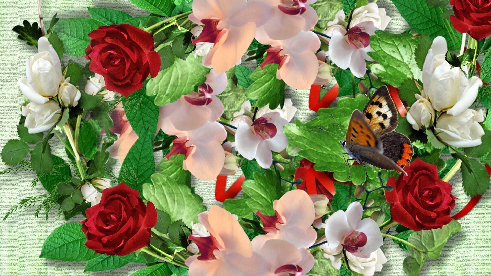 bright, flowers, 1080P, season, grass, butterflies, butterfly, orchi, papillon, leaves, colorful, red roses, roses, HD Wallpaper