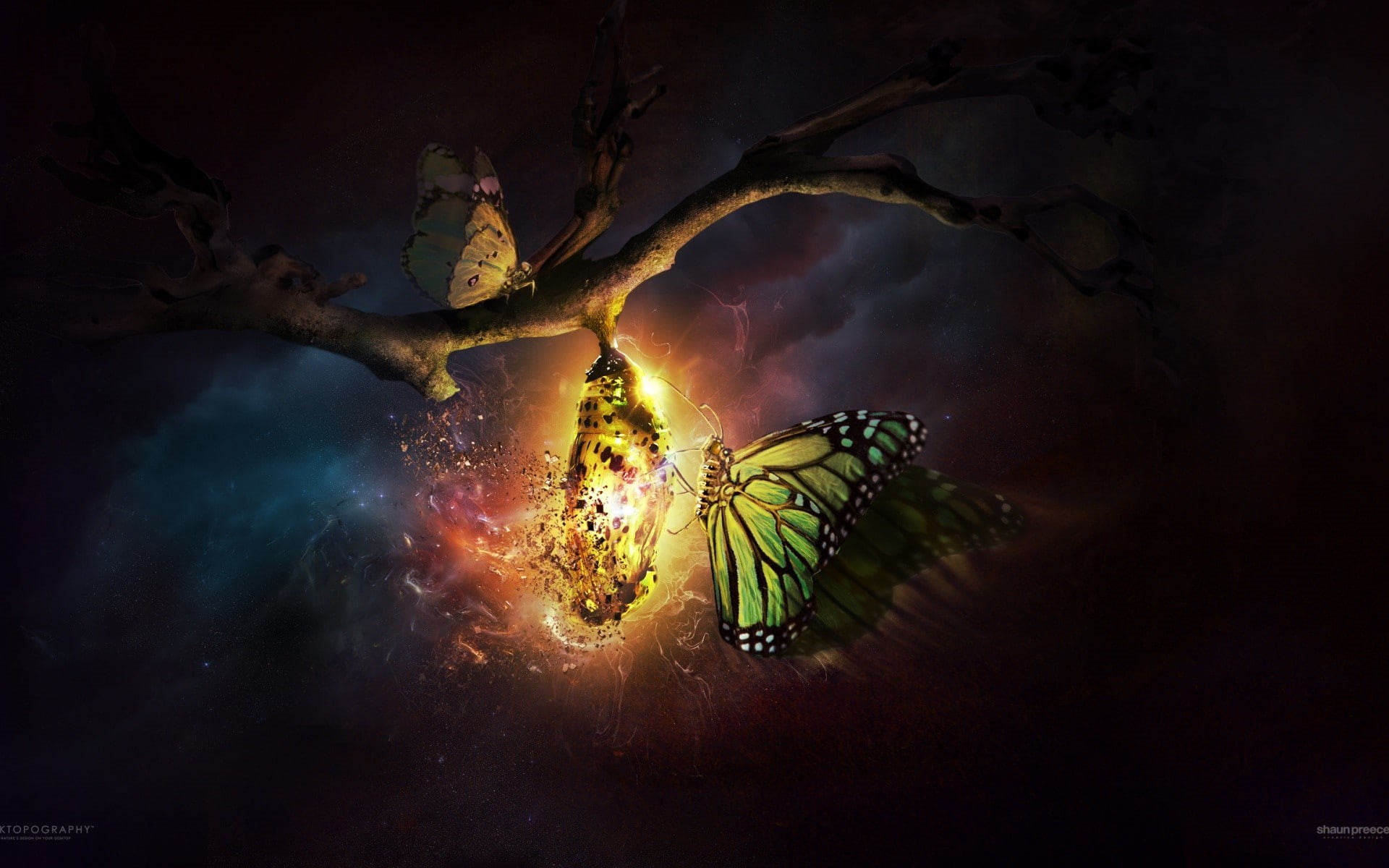 illuminated, glowing, sky, dark, luminosity, nature, exploration, environment, CGI, tree, sea, Cocoon, trees, outdoors, digital composite, 1080P, architecture, HD Wallpaper