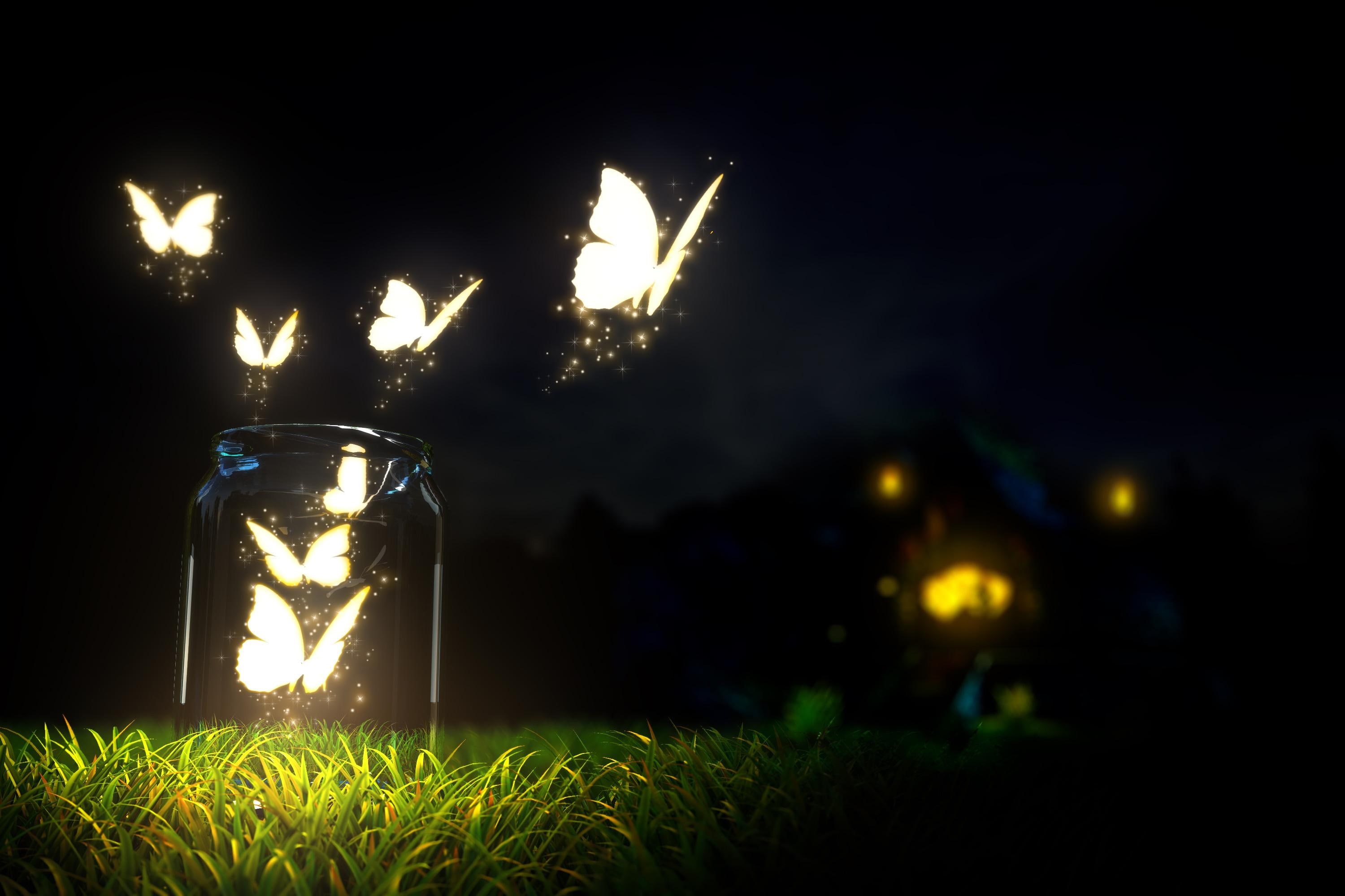 fire, night, Blur, bottles, lighting equipment, jar, grass, Earth, butterflies, bottle, 2K, heat - temperature, ground, close-up, candle, nature, macro, HD Wallpaper