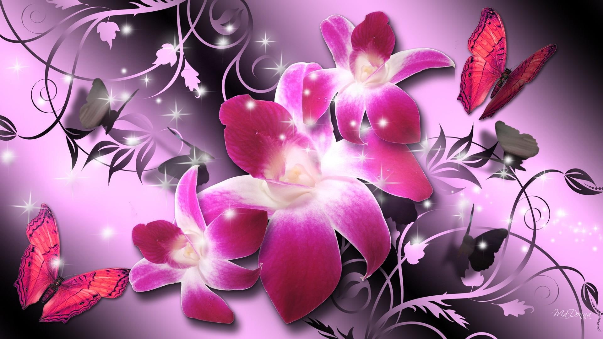 butterflies, 3d and abstract, orchid, pink, 1080P, flowers, orchids, shine, firefox persona, luxury, stars, bright, HD Wallpaper