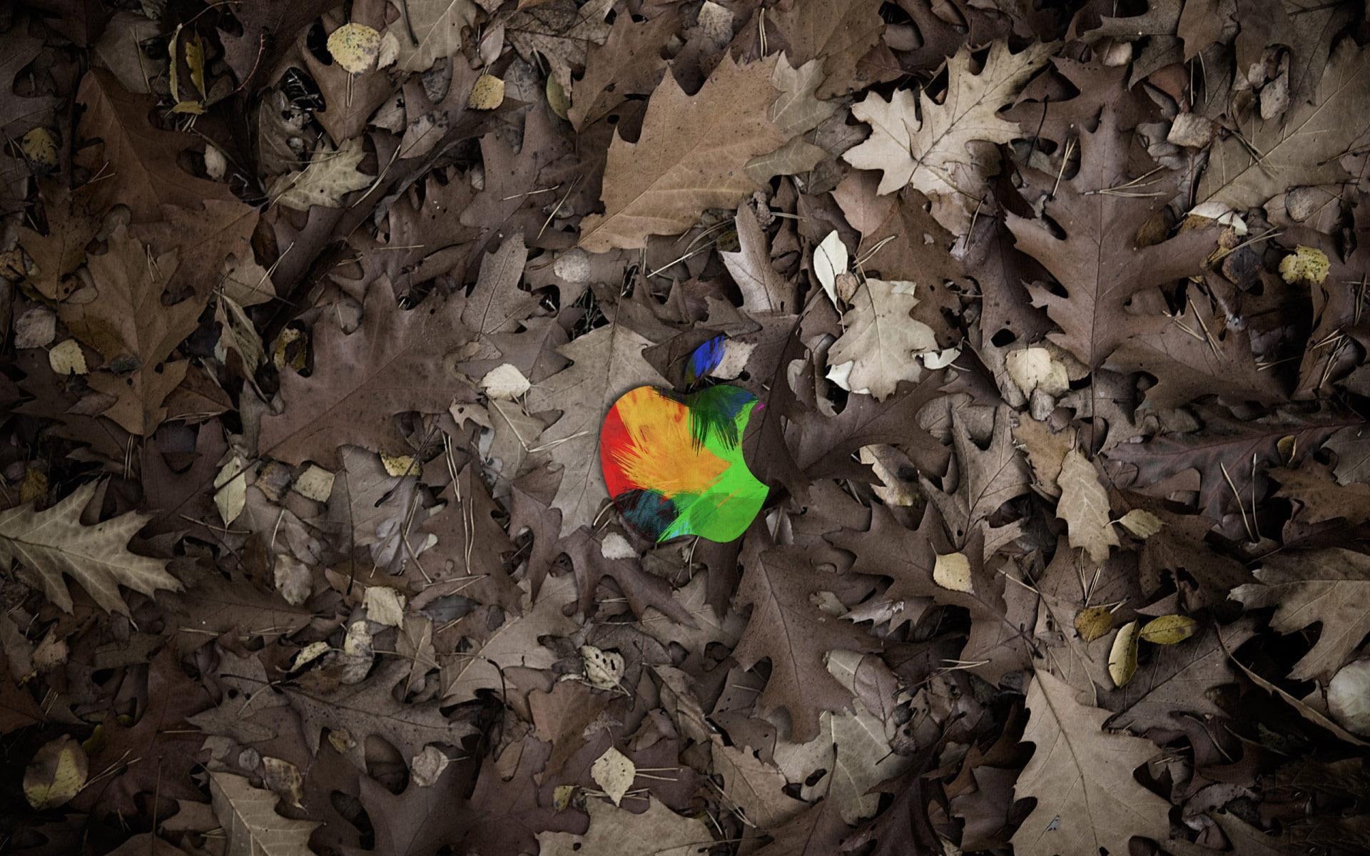1080P, among, macintosh, apple, leaves, logo, 1920x1200, computers, HD Wallpaper