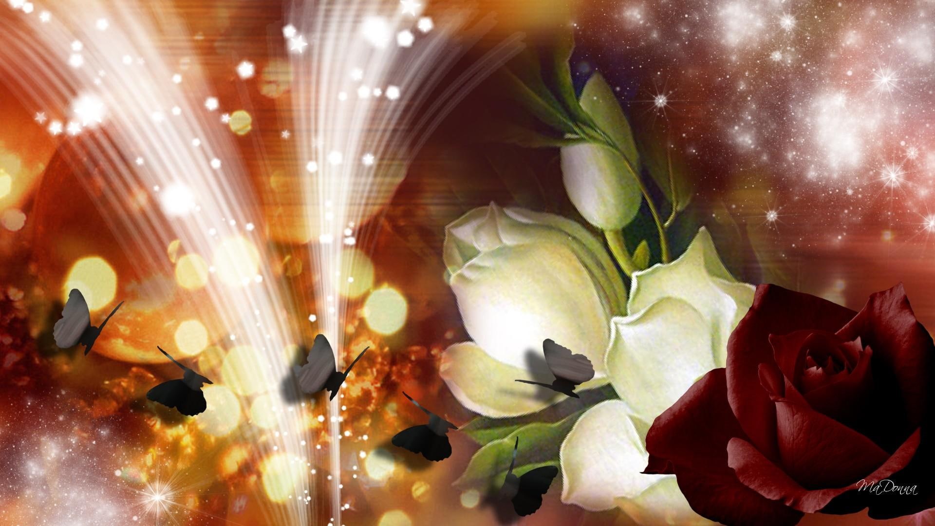 bekeh, flowers, enigma, butterflies, spring, glow, summer, magnolia, 1080P, rose, stars, 3d and abstract, sparkles, HD Wallpaper