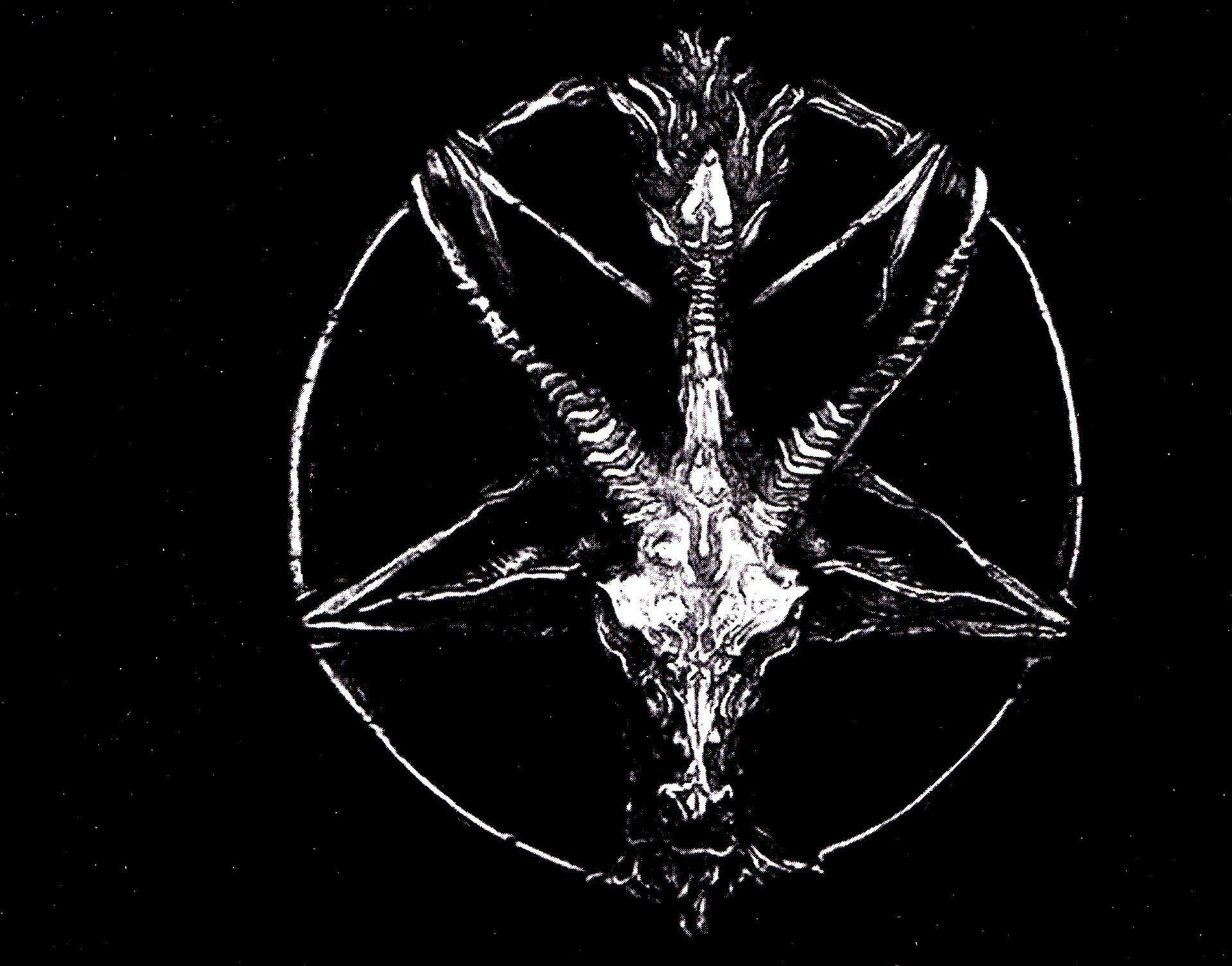 design, reflection, animal, pattern, illuminated, single object, 1080P, symmetry, still life, art and craft, no people, Dark, abstract, star shape, animal wildlife, HD Wallpaper
