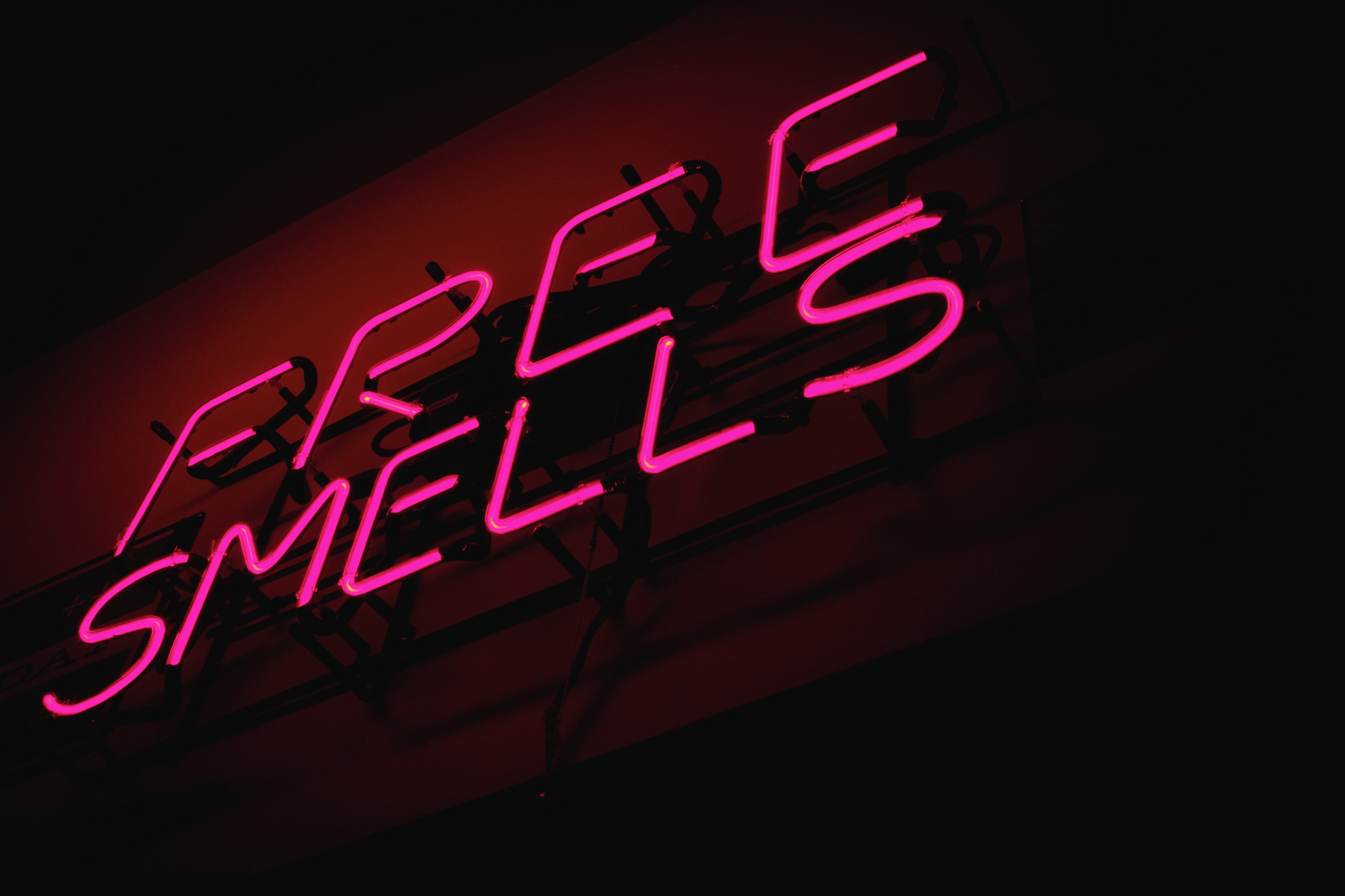 consumerism, bar - drink establishment, single word, nightclub, red, arts culture and entertainment, night, neon, USA, text, western script, bright, illuminated, HD Wallpaper