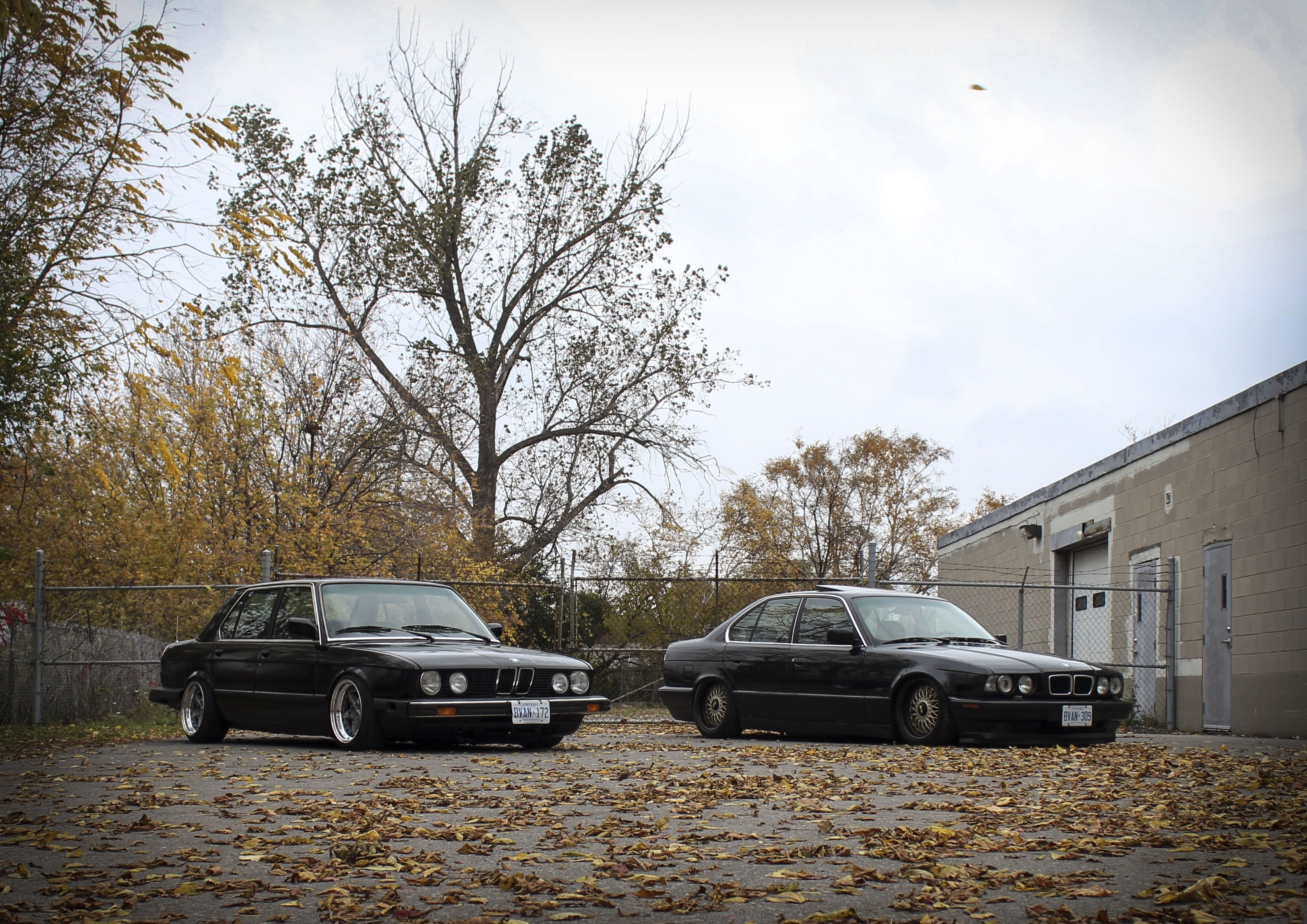 stance, two, E34, tuning, residential district, drives, sedans, land vehicle, built structure, stationary, architecture, BMW, plant, leaves, 2K, classic, HD Wallpaper
