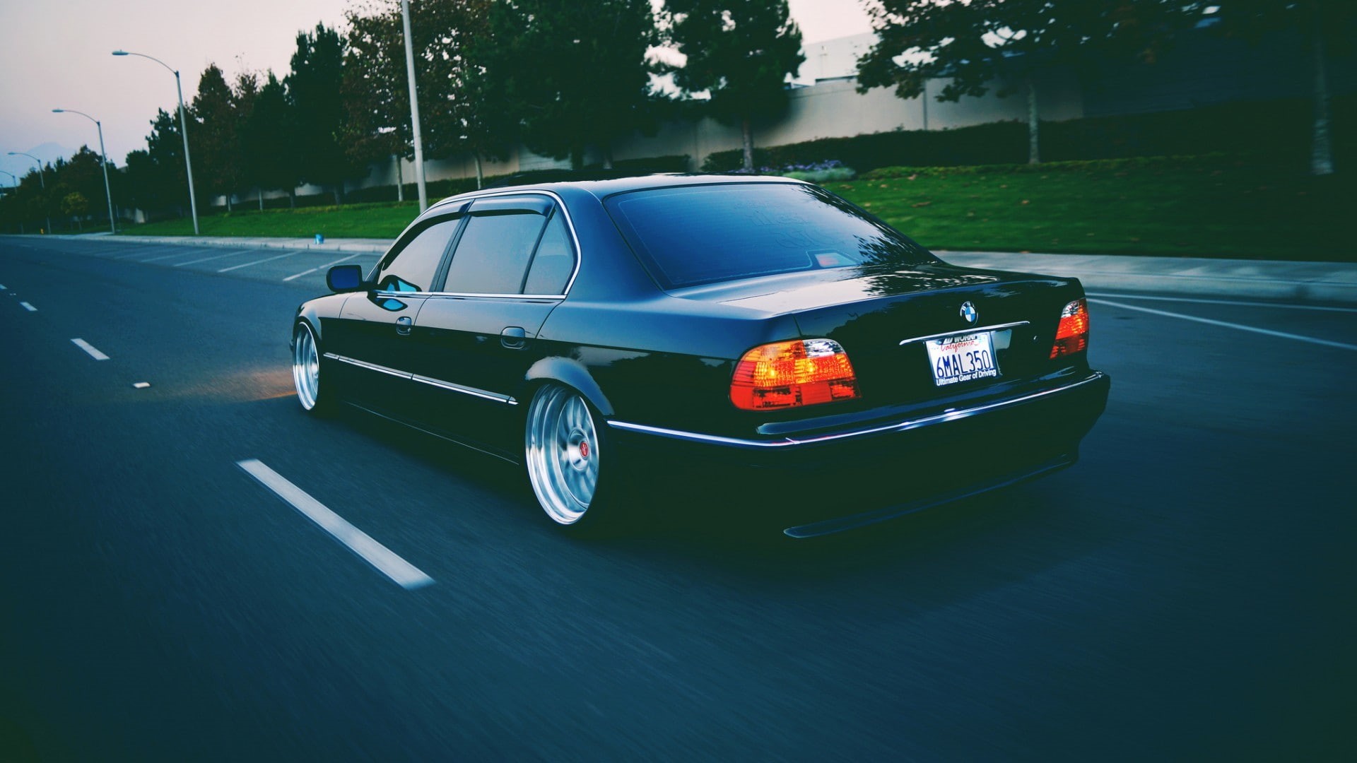 tree, BMW, motor vehicle, on the move, wheel, car, moving, outdoors, 1080P, day, city, no people, mode of transportation, transportation, blurred motion, HD Wallpaper