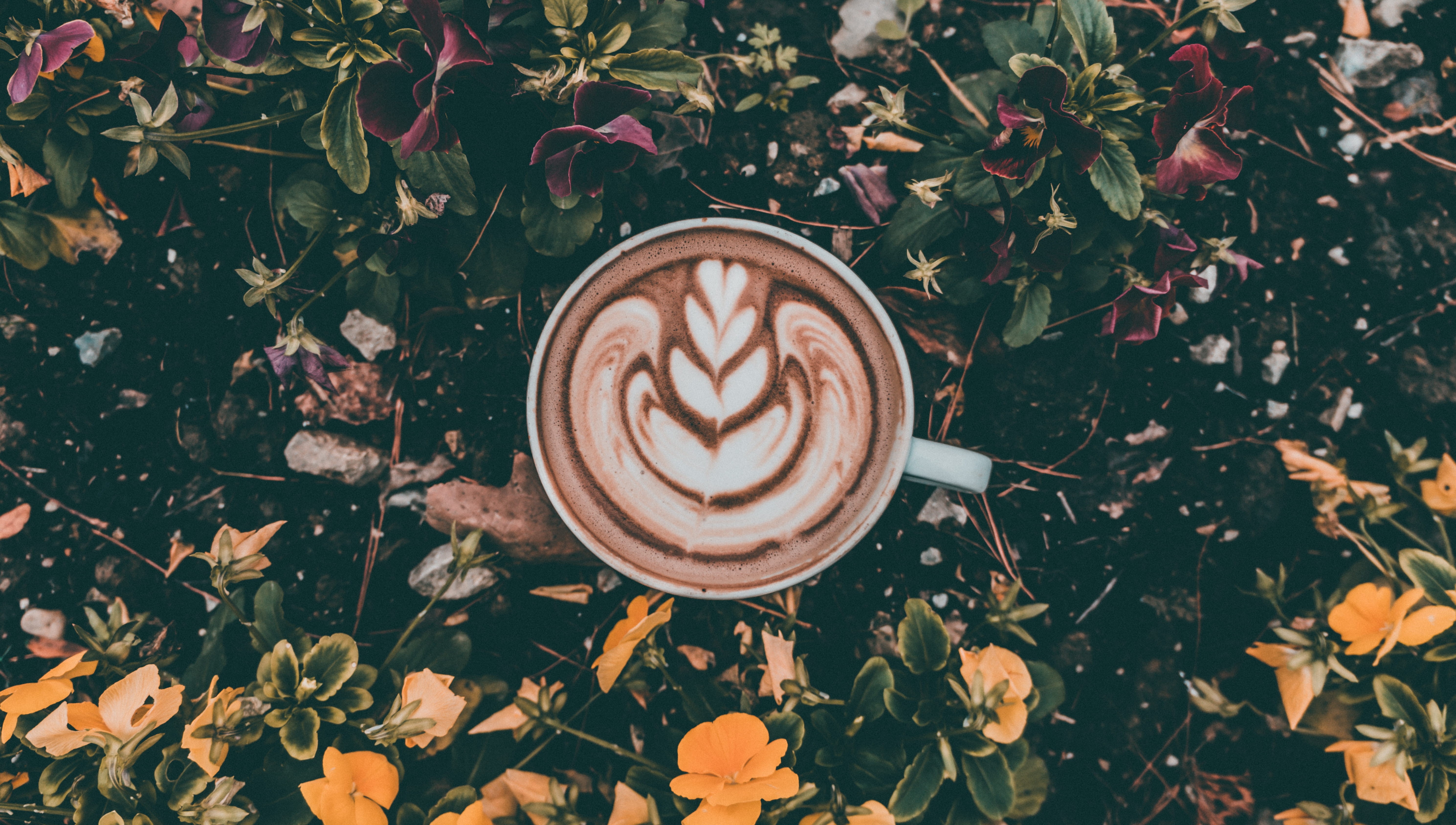 drink, aesthetic, latte, latte art, freshness, plant part, outdoors, flower, nature, floral pattern, moody, no people, beans, latte gram, the well coffeehouse fishers, HD Wallpaper