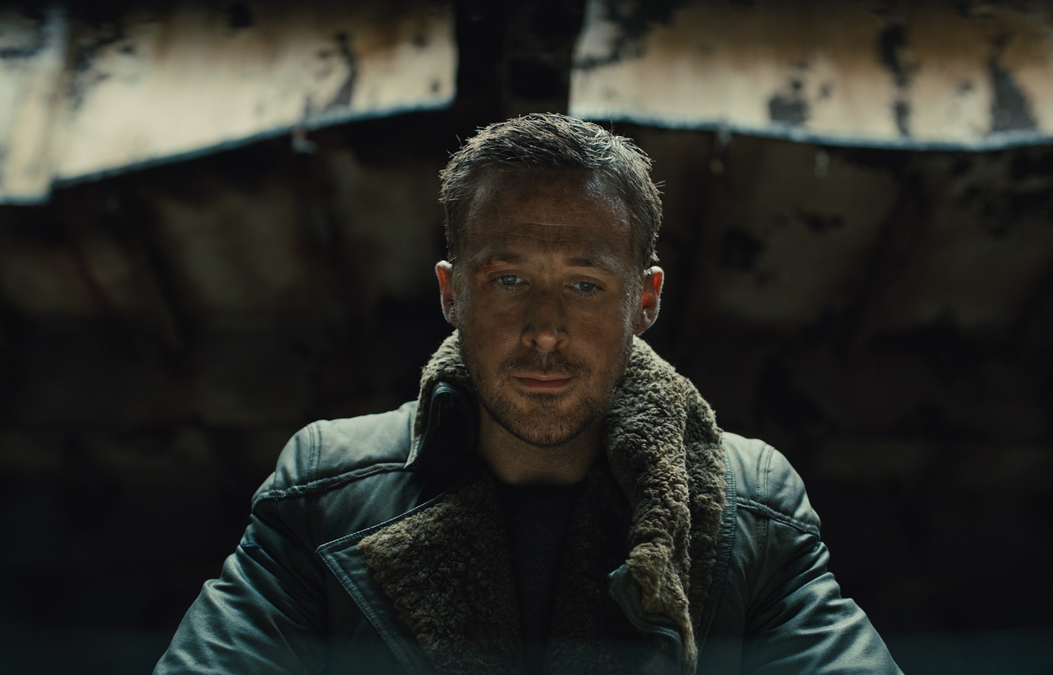 males, portrait, one person, beard, Officer K, men, Ryan Gosling, mid adult men, focus on foreground, warm clothing, mature men, leisure activity, mid adult, HD Wallpaper