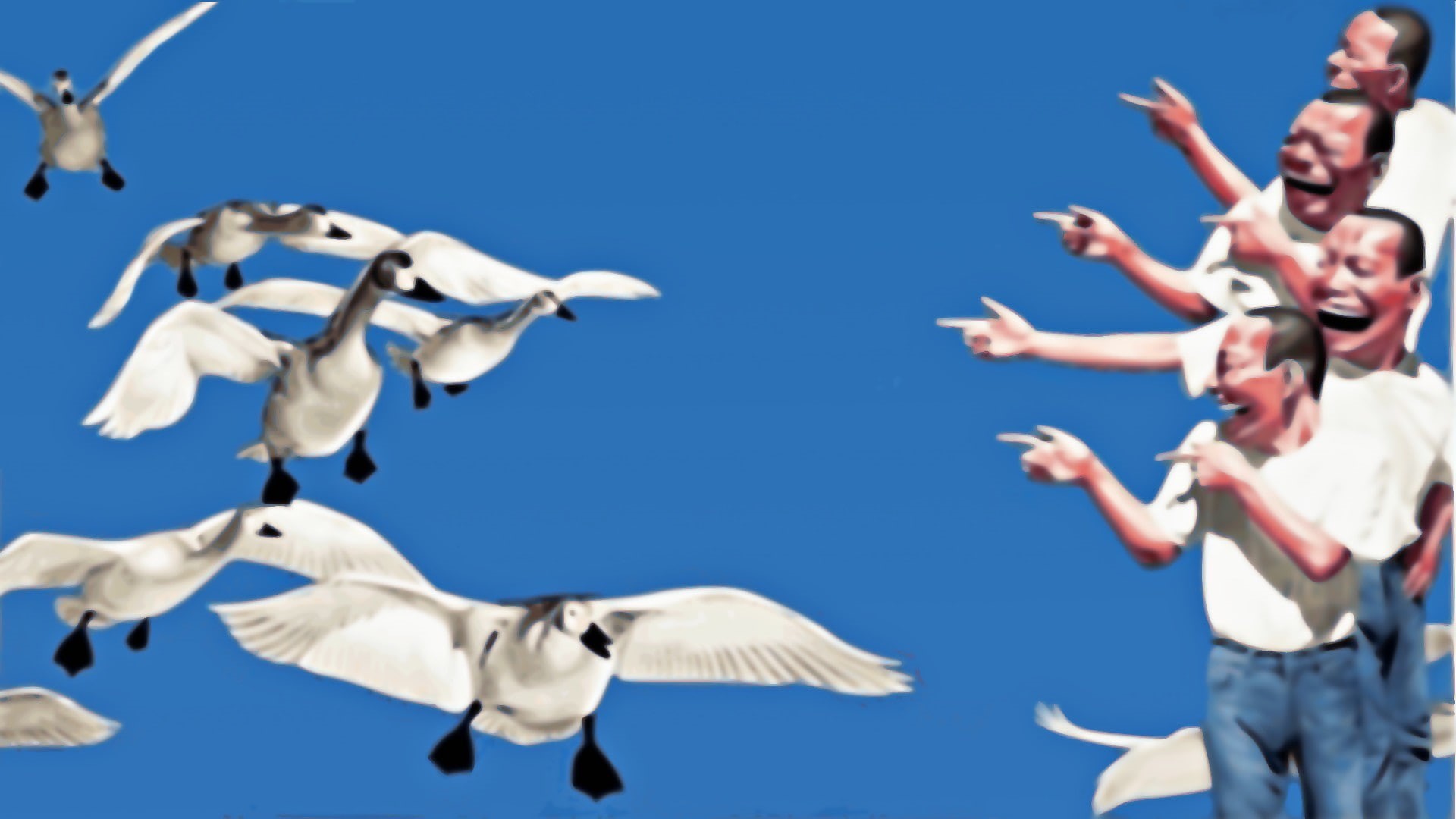 swan, finger pointing, 1080P, clear sky, laughing, HD Wallpaper