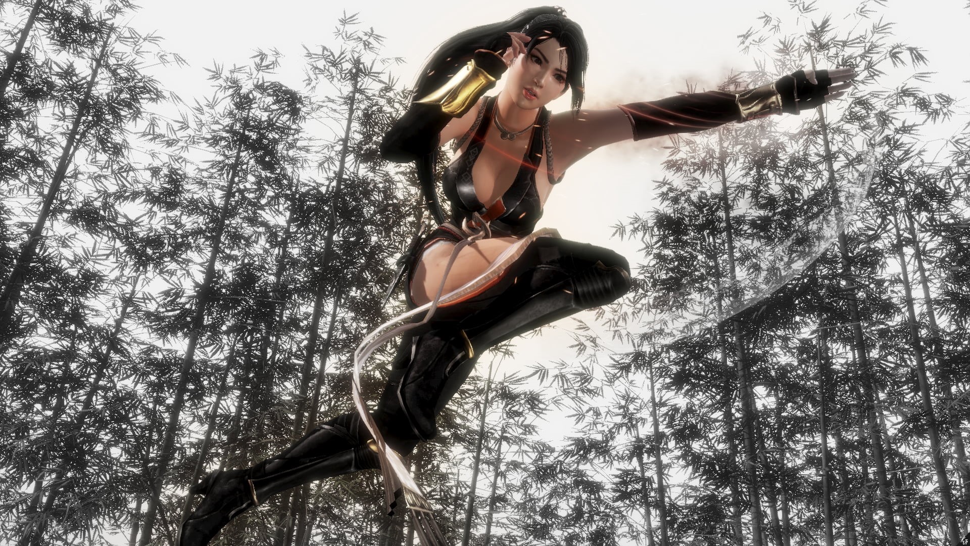 ponytail, gray background, video game characters, 1080P, Momiji (Ninja Gaiden), long hair, video game girls, Dead or Alive, HD Wallpaper
