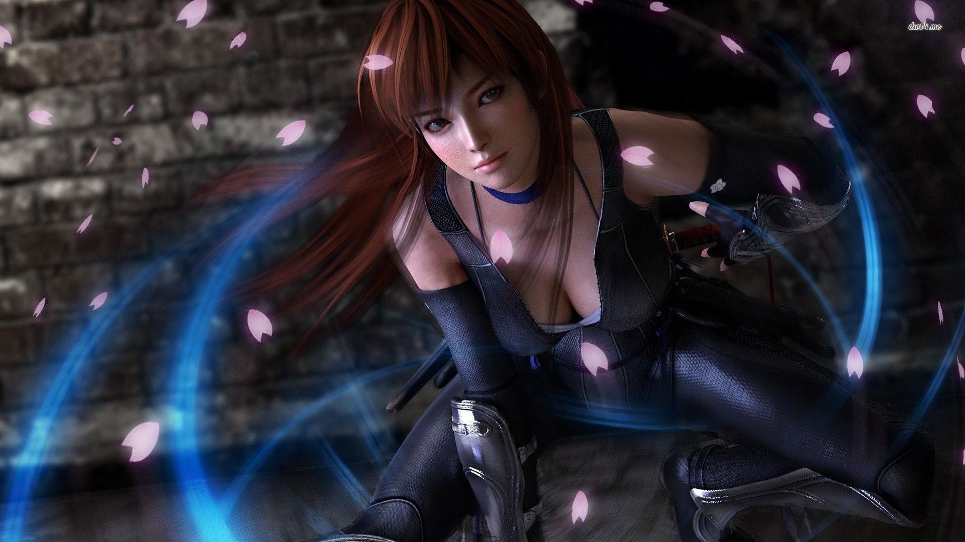 Dead Or Alive 5, 1080P, Dead or Alive, HD Wallpaper