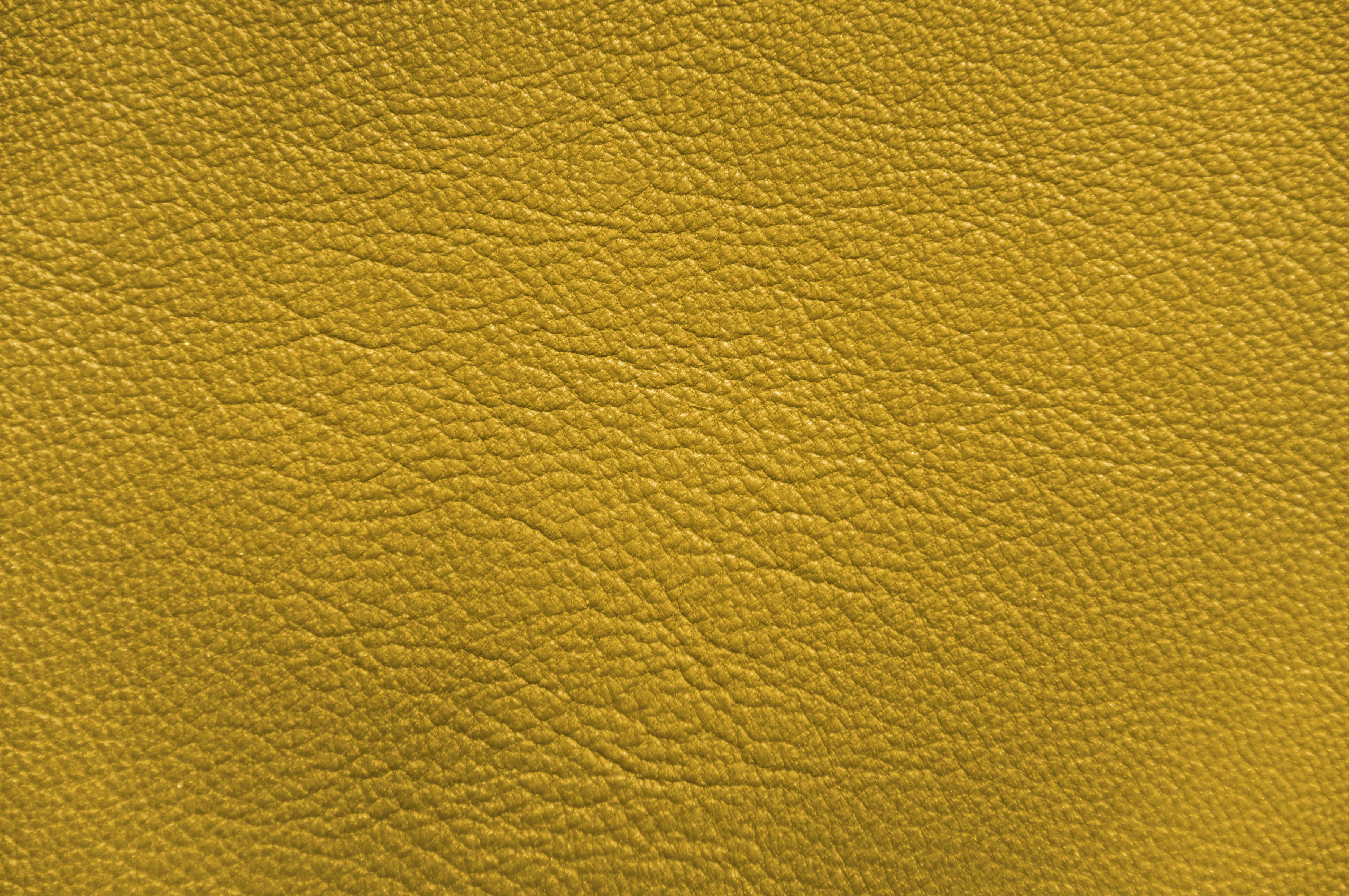 wrinkled, textile, cute, beauty in nature, luxury, day, abstract, soft, background, indoors, processing, animal body part, long lasting, old gold, reference, HD Wallpaper