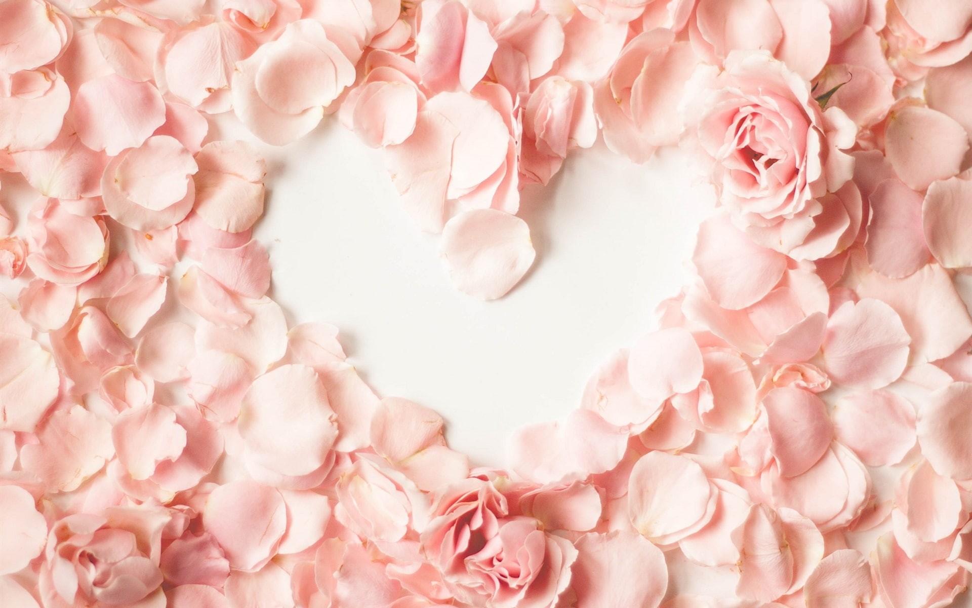 Love, Pink, Petals, Heart, Rose, 1080P, HD Wallpaper
