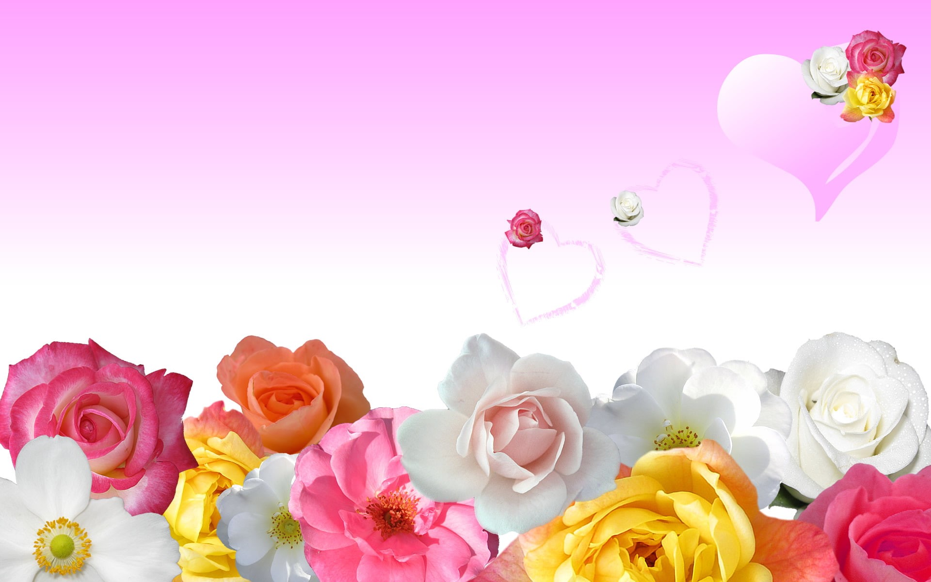 amp, 1080P, love, roses, hearts, HD Wallpaper