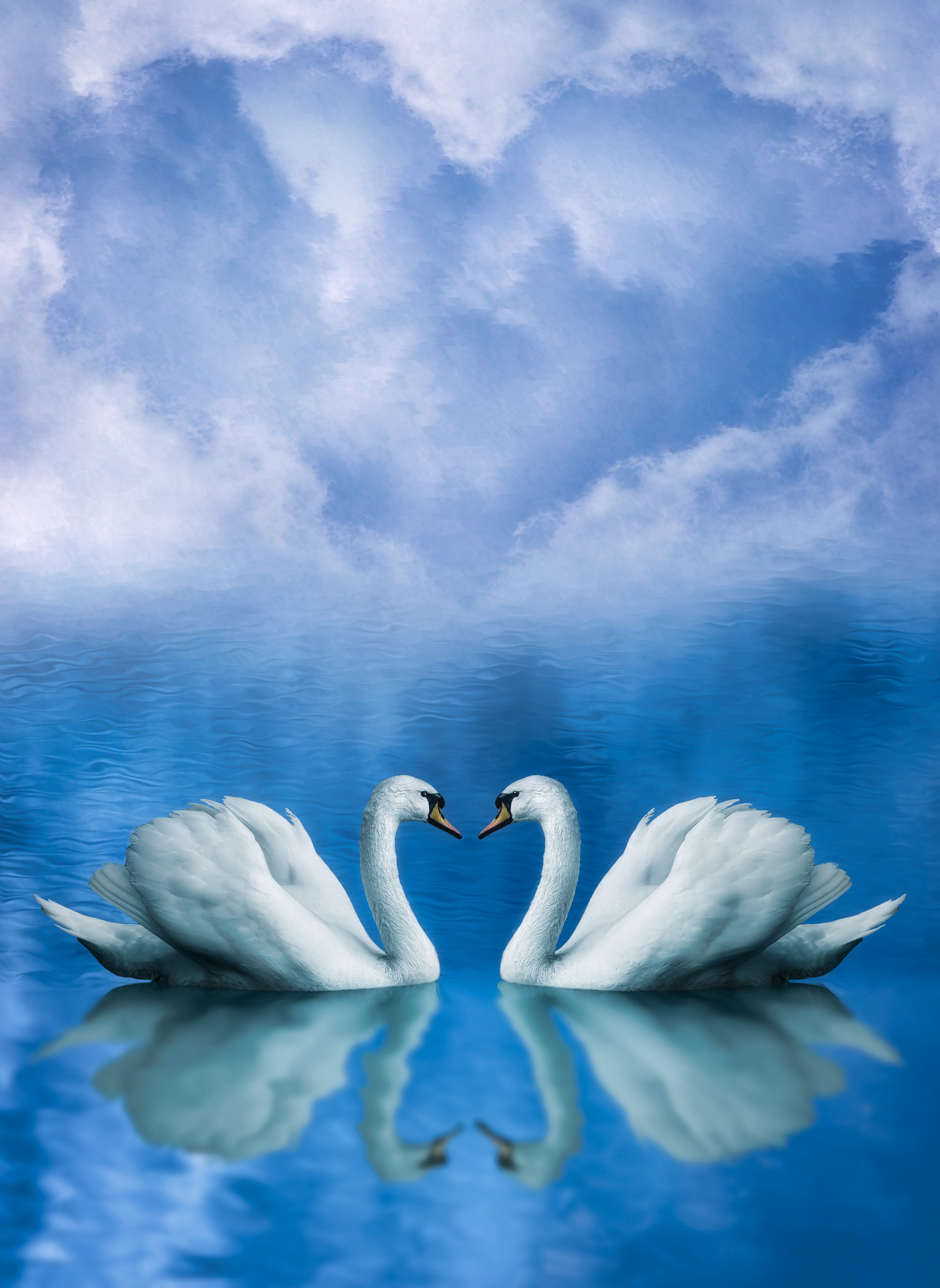 heart shape, digital composite, sea, waterfront, 5K, romantic, romance, animals in the wild, white color, positive emotion, day, animal, blue, valentine, Phone HD Wallpaper