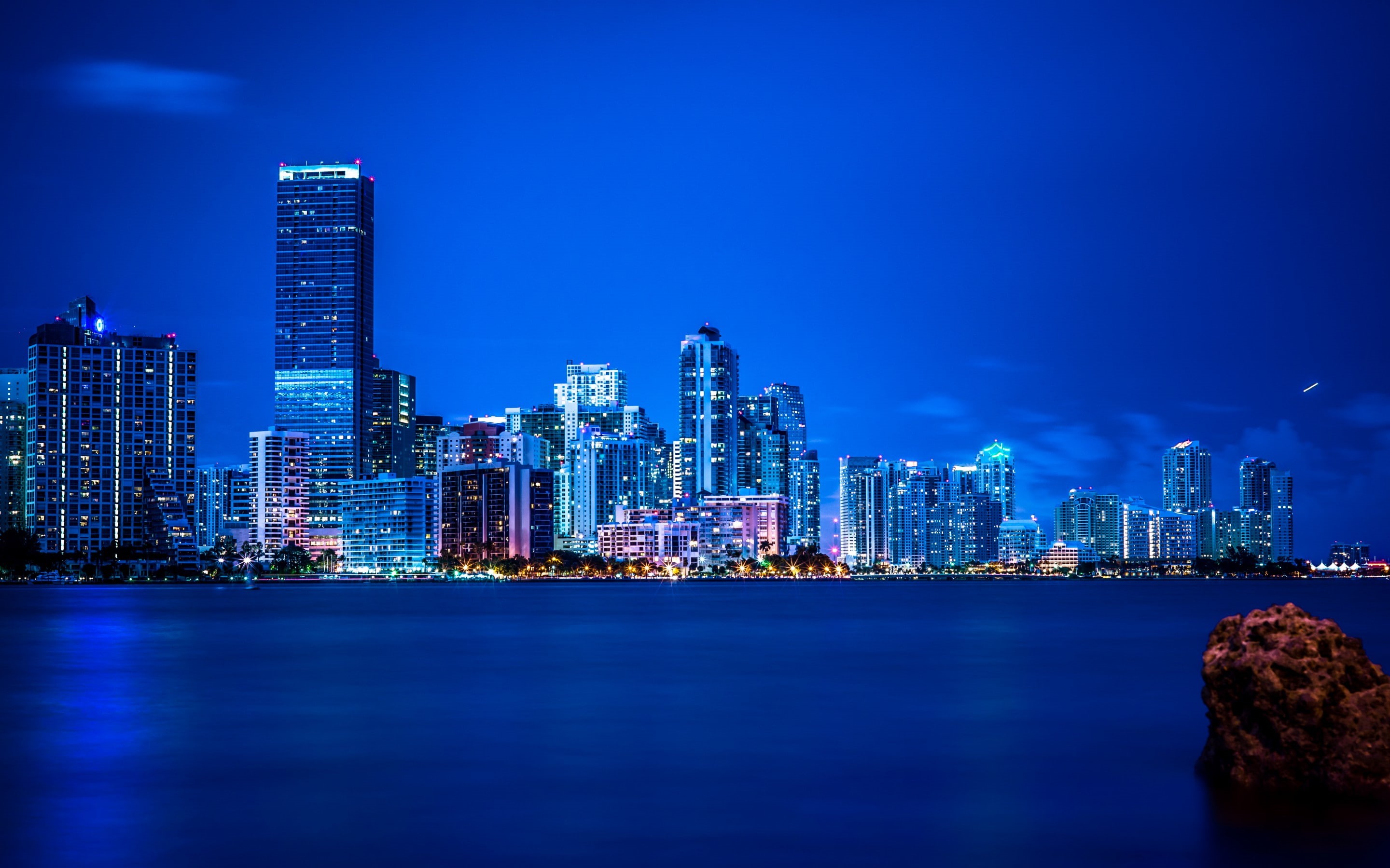 lights, vice, 2K, miami, city, night, panorama, HD Wallpaper