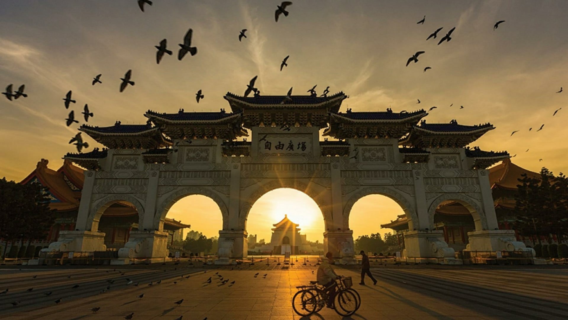 flock of birds, tourist attraction, landmark, animal themes, 1080P, zhongzheng, arch, architecture, building exterior, large group of animals, built structure, HD Wallpaper