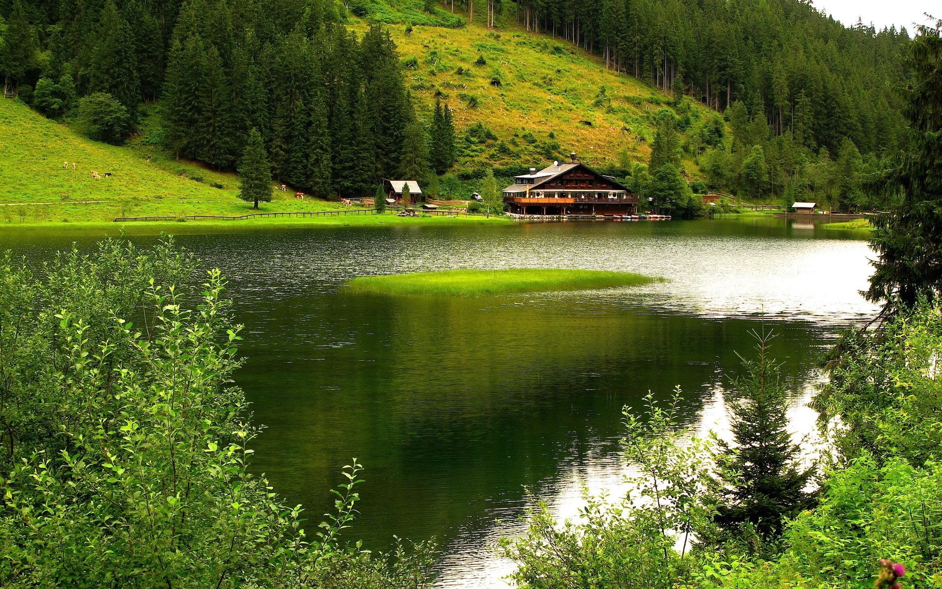 full hd nature  1080p desktop  1920x1200, 1080P, HD Wallpaper