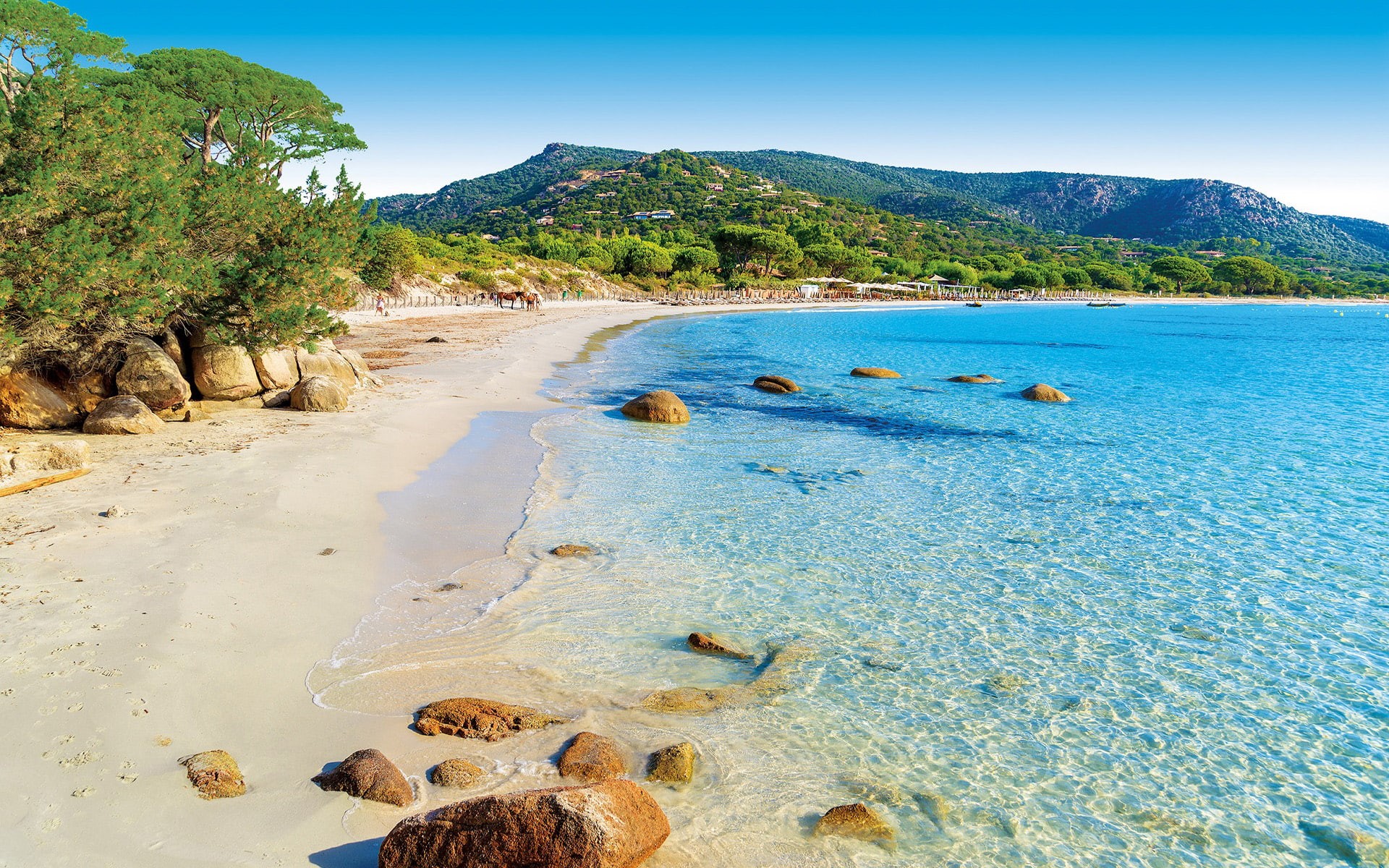 sea, full, turquoise, gorgeous, hd, sun, france, wqllpaper, island, 1080P, beach, palombaggia, sand, corsica, HD Wallpaper