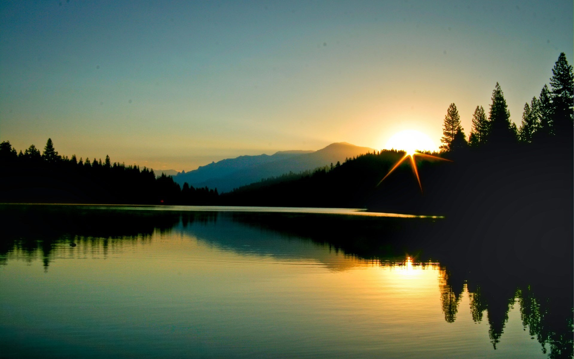 sunset, sky, scenics - nature, nature, reflection lake, sun, tranquil scene, plant, 1080P, silhouette, tranquility, reflection, no people, tree, water, HD Wallpaper