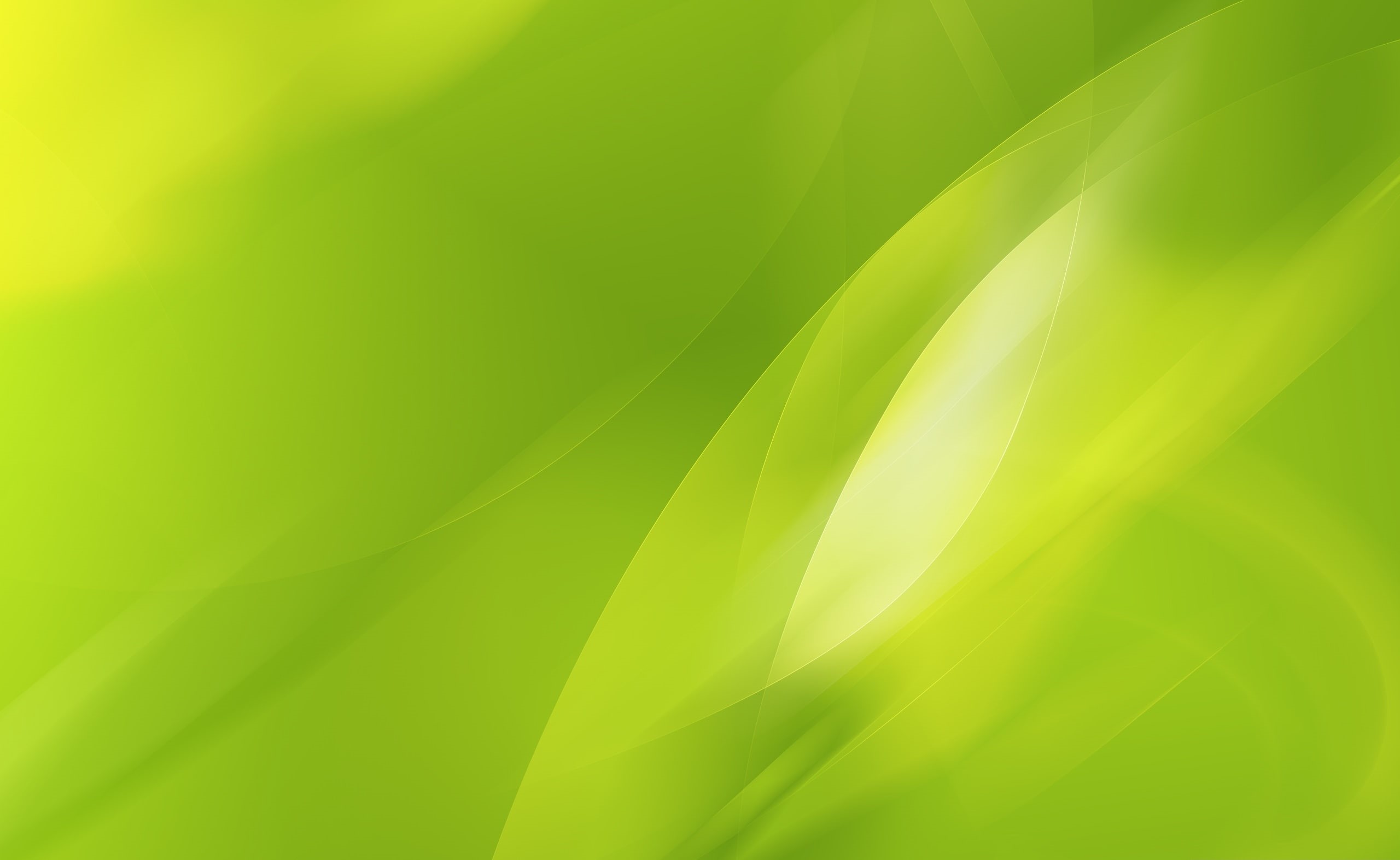 outdoors, 2K, macro, palm leaf, Graphic, Design, full frame, green color, plant, digital, freshness, backgrounds, softness, textured effect, close-up, HD Wallpaper