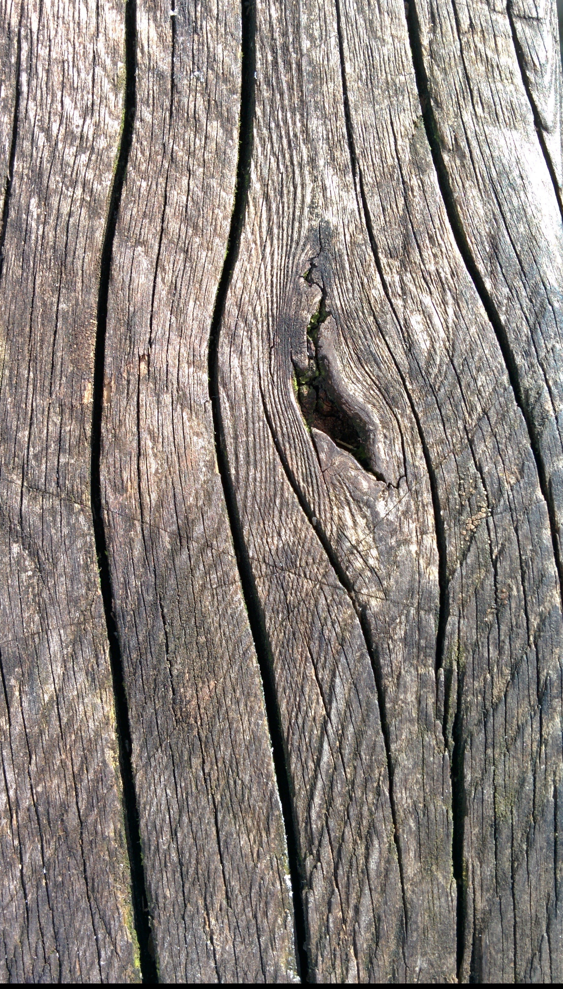 board, trunk, rough, texture, textured, 2K, structure, bark, panel, carpentry, grain, tree, tree trunk, nature, dark, grunge, weathered, hardwood, wall, Phone HD Wallpaper