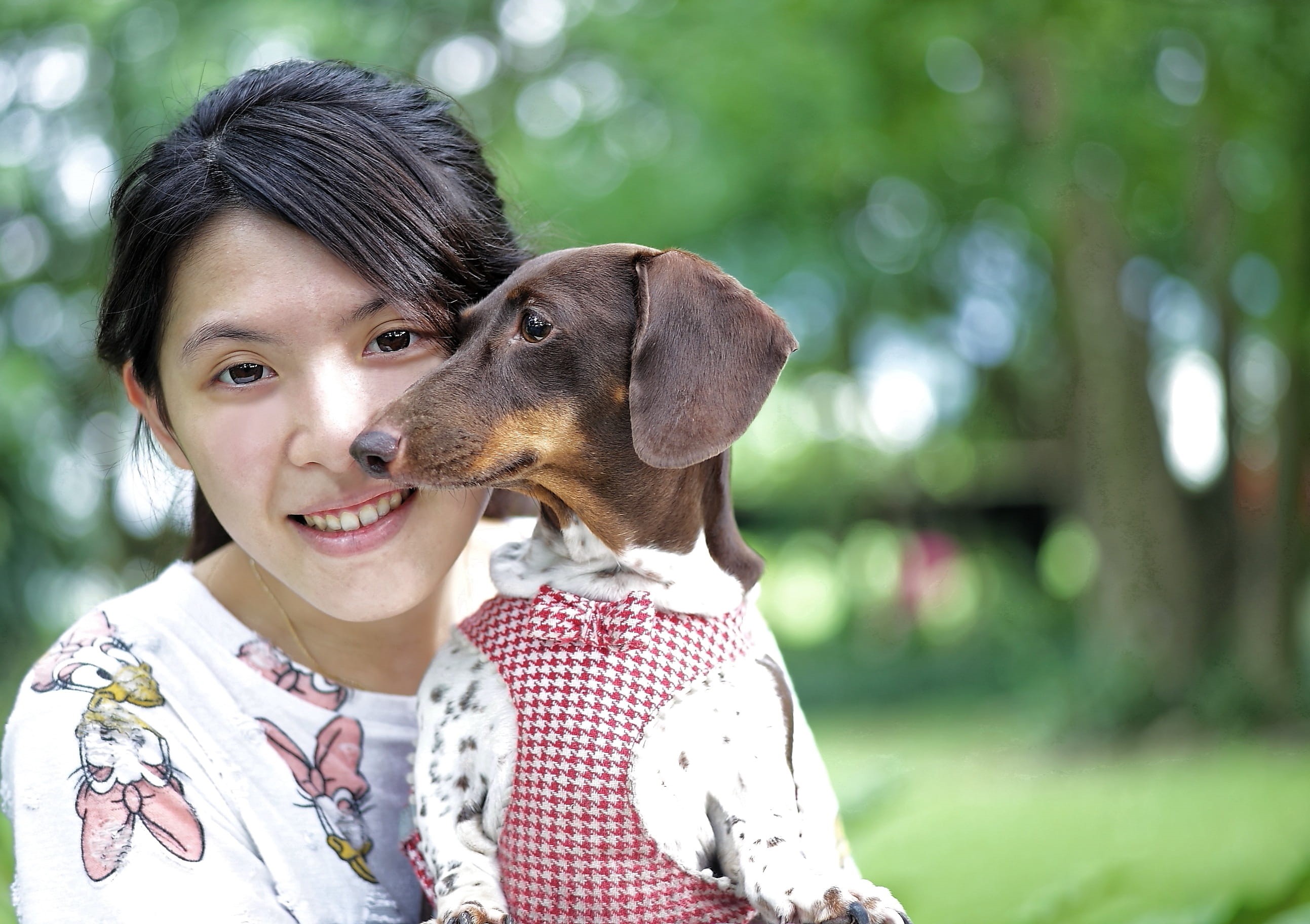child, woman, dog clothes, canine, female, bonding, love, color Image, looking At Camera, puppy, wearing, front view, emotion, day, pets, happiness, people, HD Wallpaper