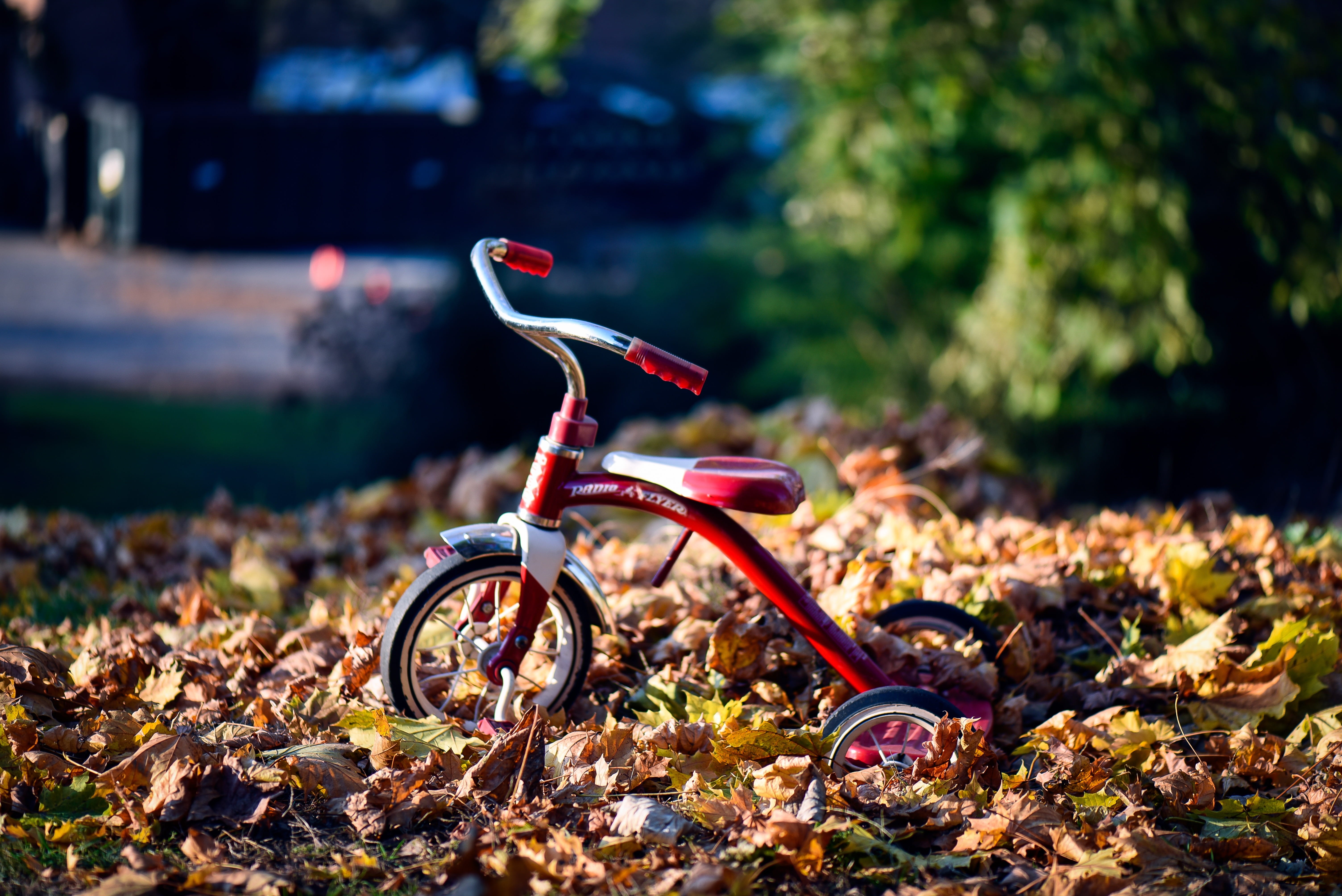 recreational Pursuit, land vehicle, mode of transportation, transportation, leaves, autumn, healthy Lifestyle, exercising, focus on foreground, objects, HD Wallpaper