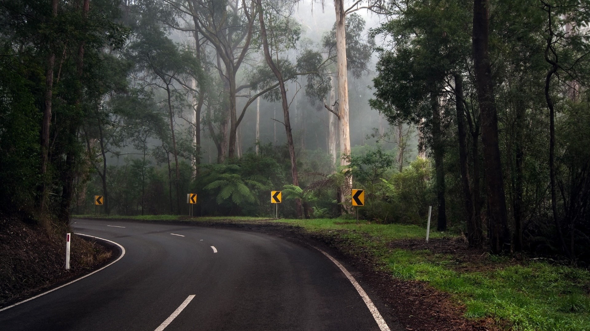 turn of the road, forest, 1080P, bend, curve, road, HD Wallpaper