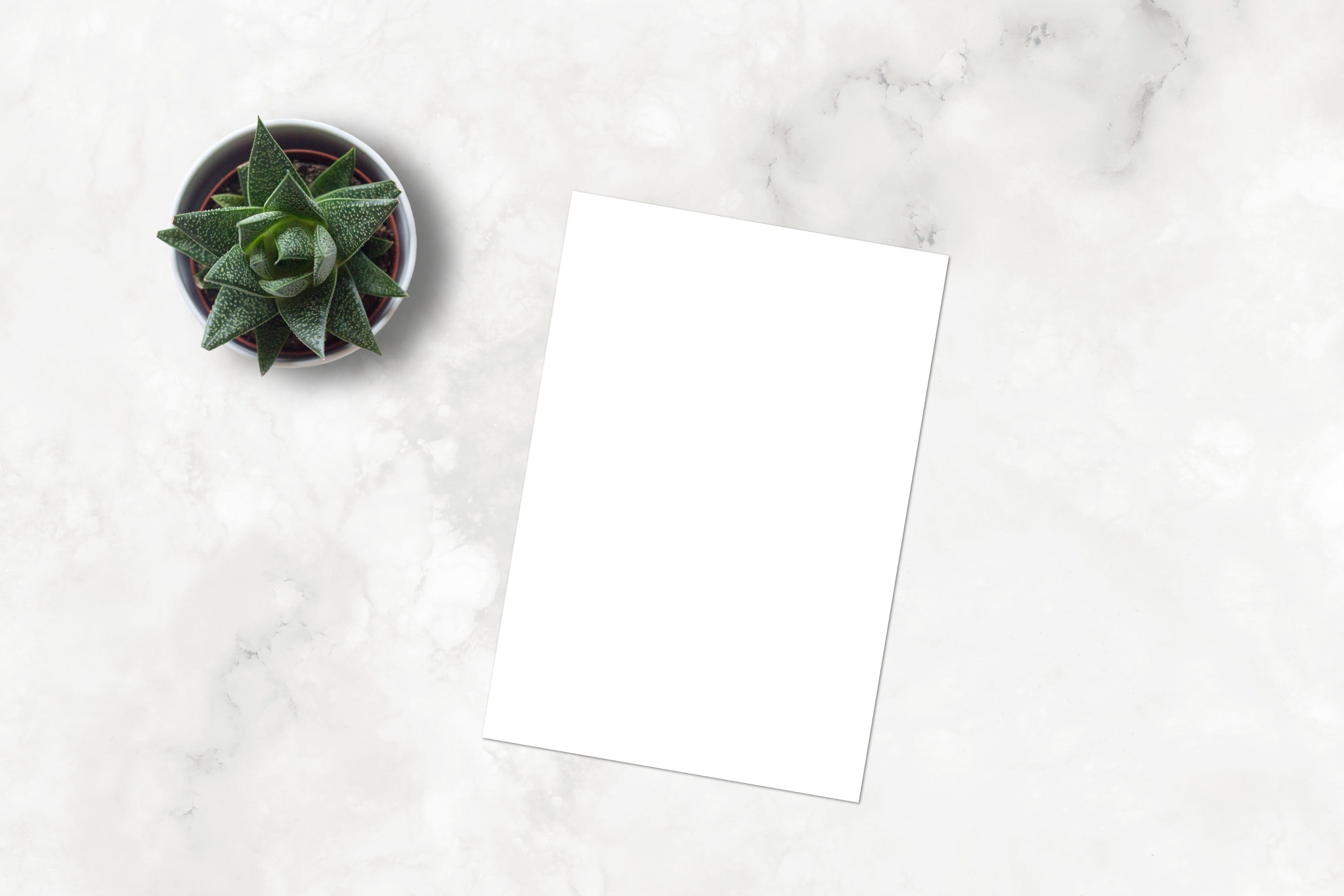 networking, drawing, 4K, blank, business, marketing, indoors, directly above, green color, mockup, picture, layout, food, copy space, plant part, painting, HD Wallpaper