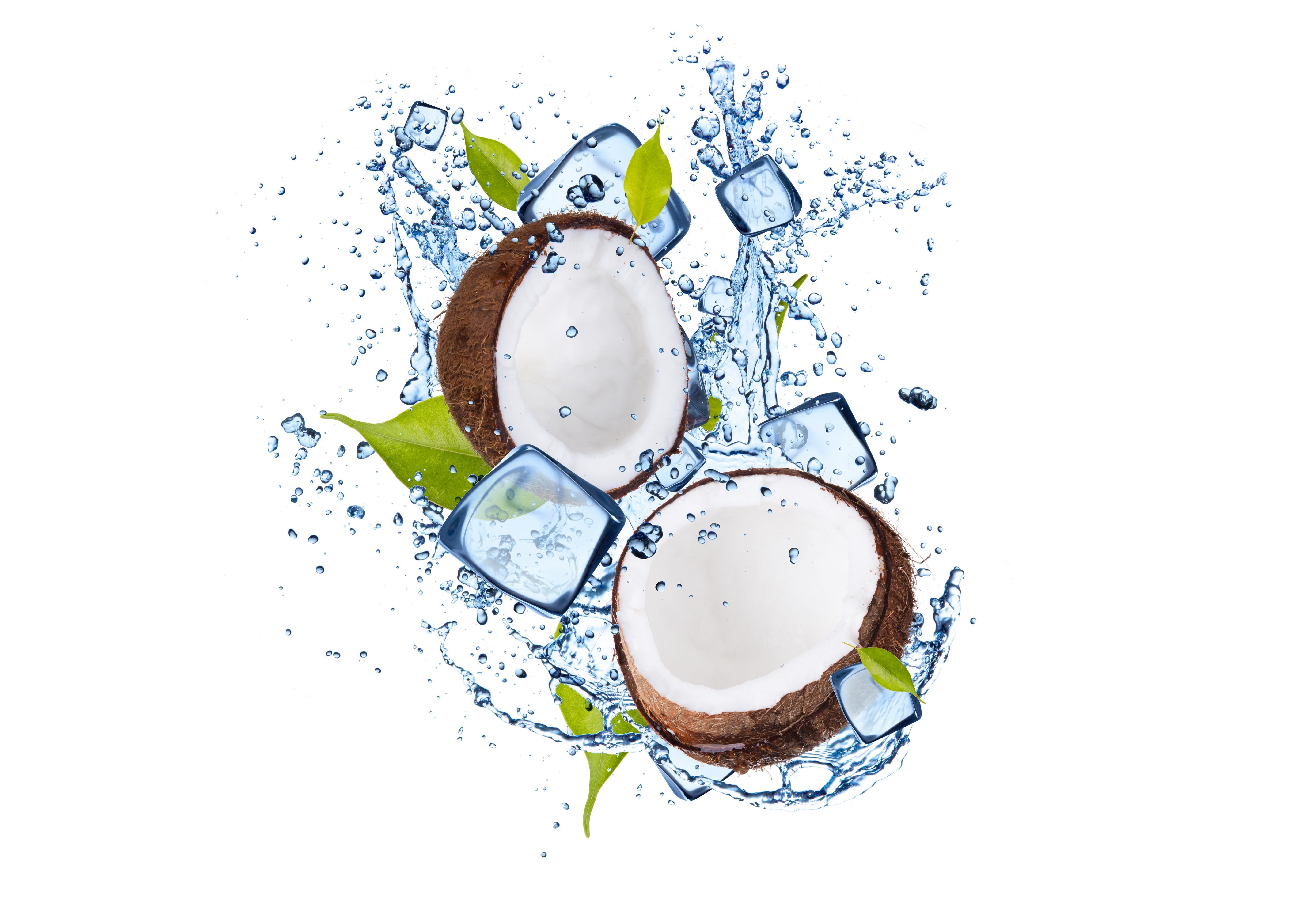 ice, coconut, water, leaves, 5K, leaflets, HD Wallpaper