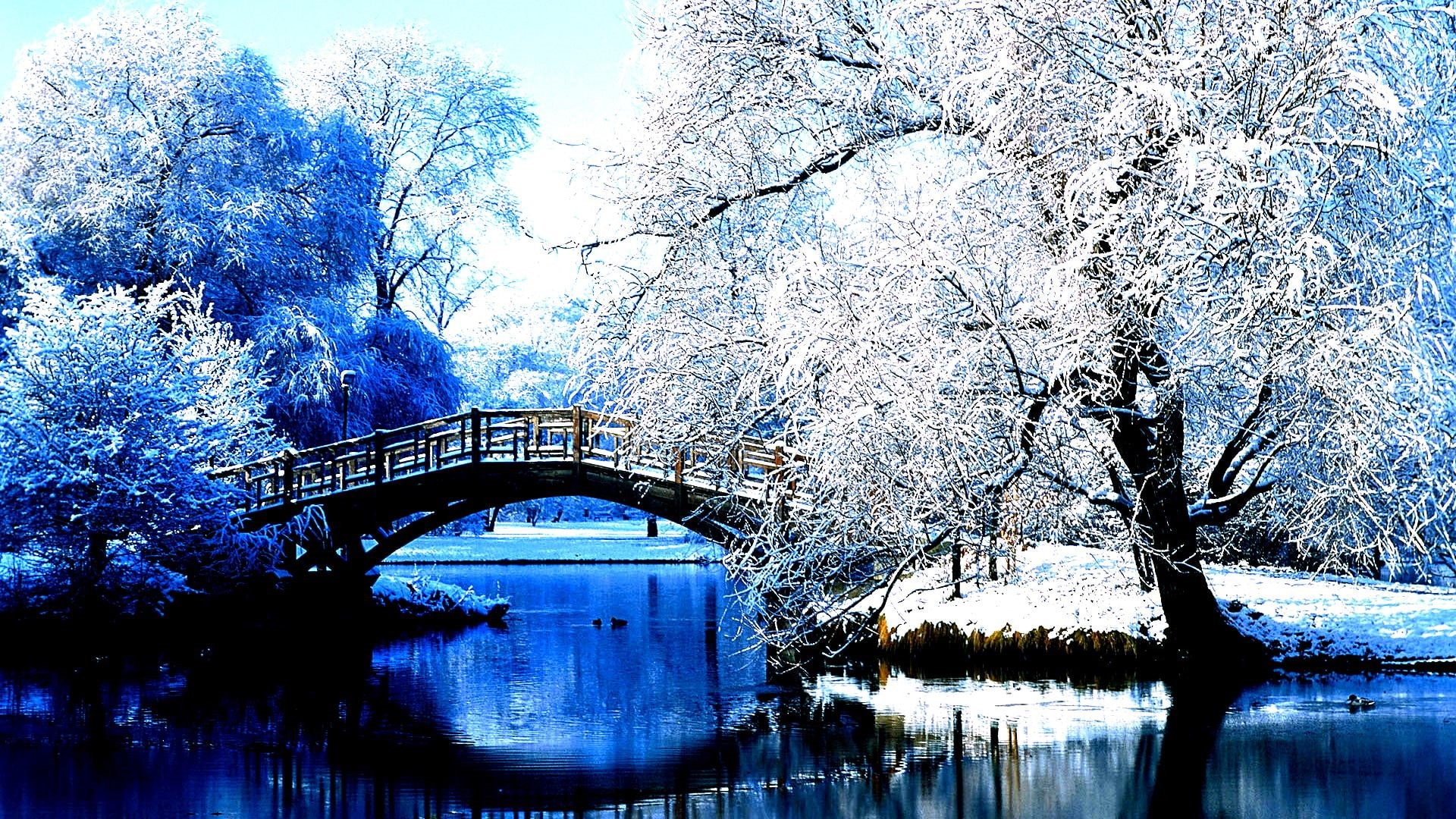 nature, 1080P, hd winter, park, high, contrast, central, 1920x1080, Winter, HD Wallpaper