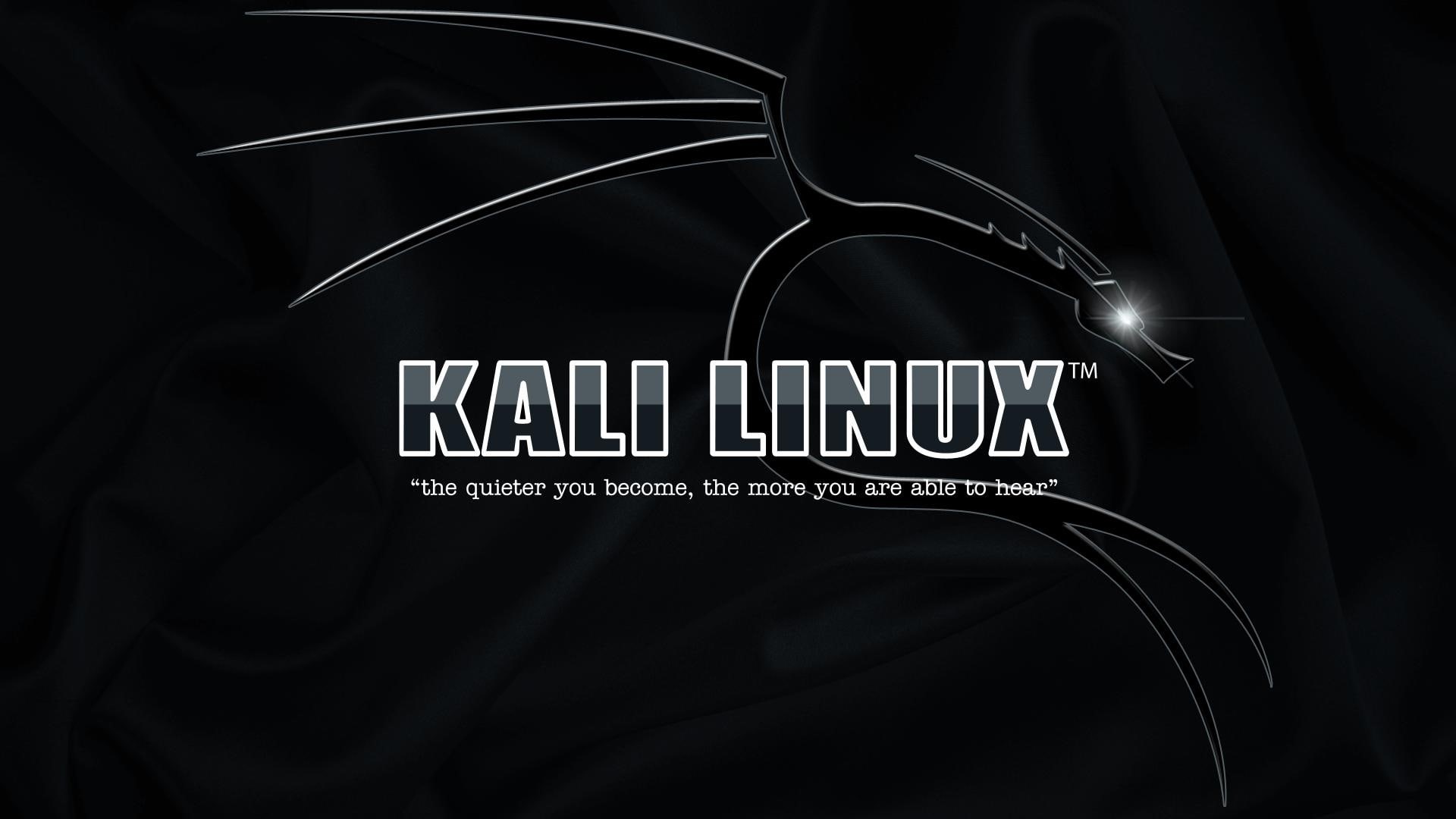 high, kali linux, kali, tech, 1080P, linux, high tech, HD Wallpaper