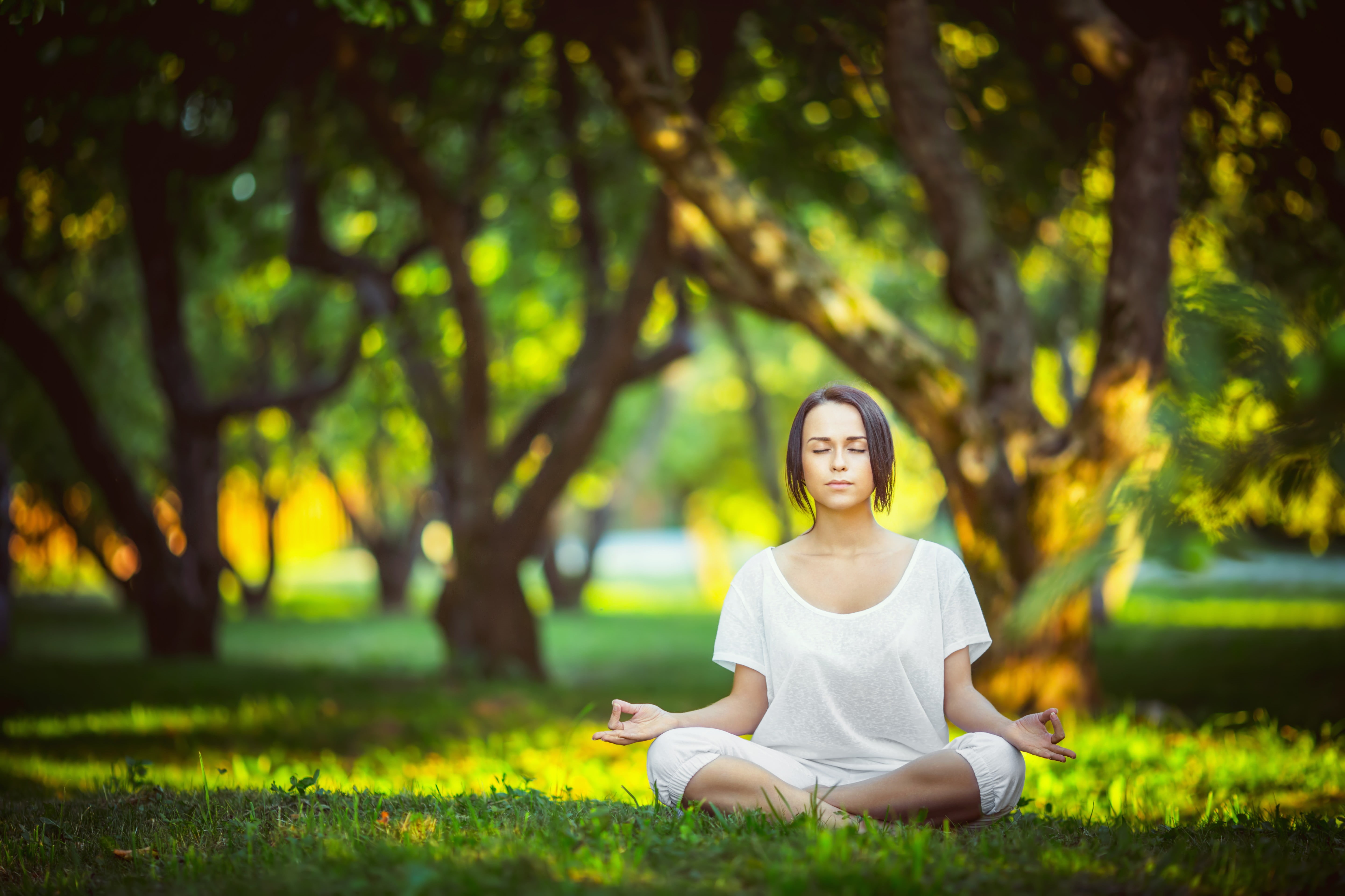 wellbeing, nature, relaxation, lifestyles, beautiful woman, 5K, meditation, plant, tree, legs crossed, relaxation exercise, zen-like, exercising, yoga, HD Wallpaper