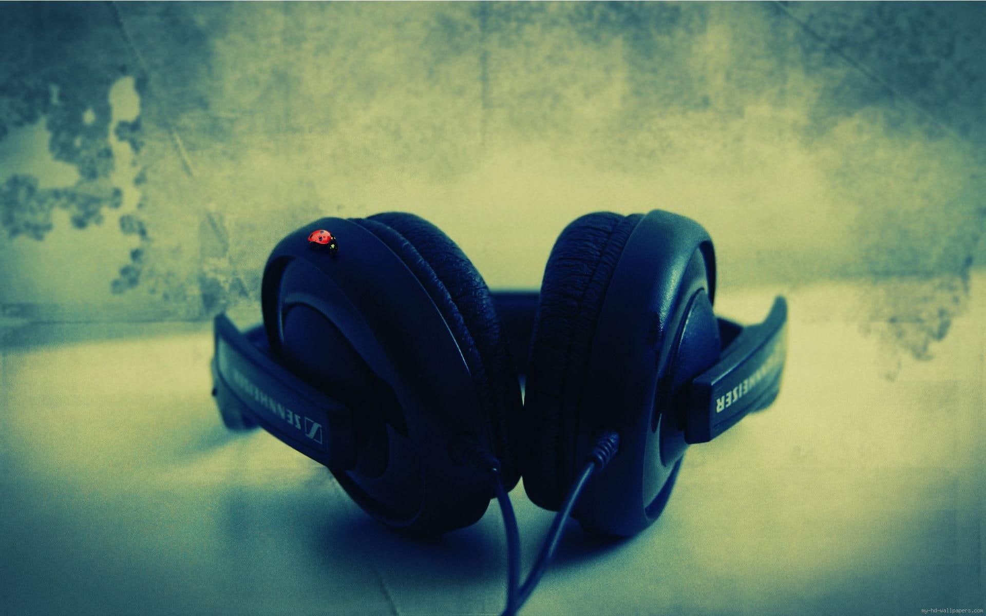 ladybug, music, 1080P, headset, corded, sennheiser, black, headphones, HD Wallpaper