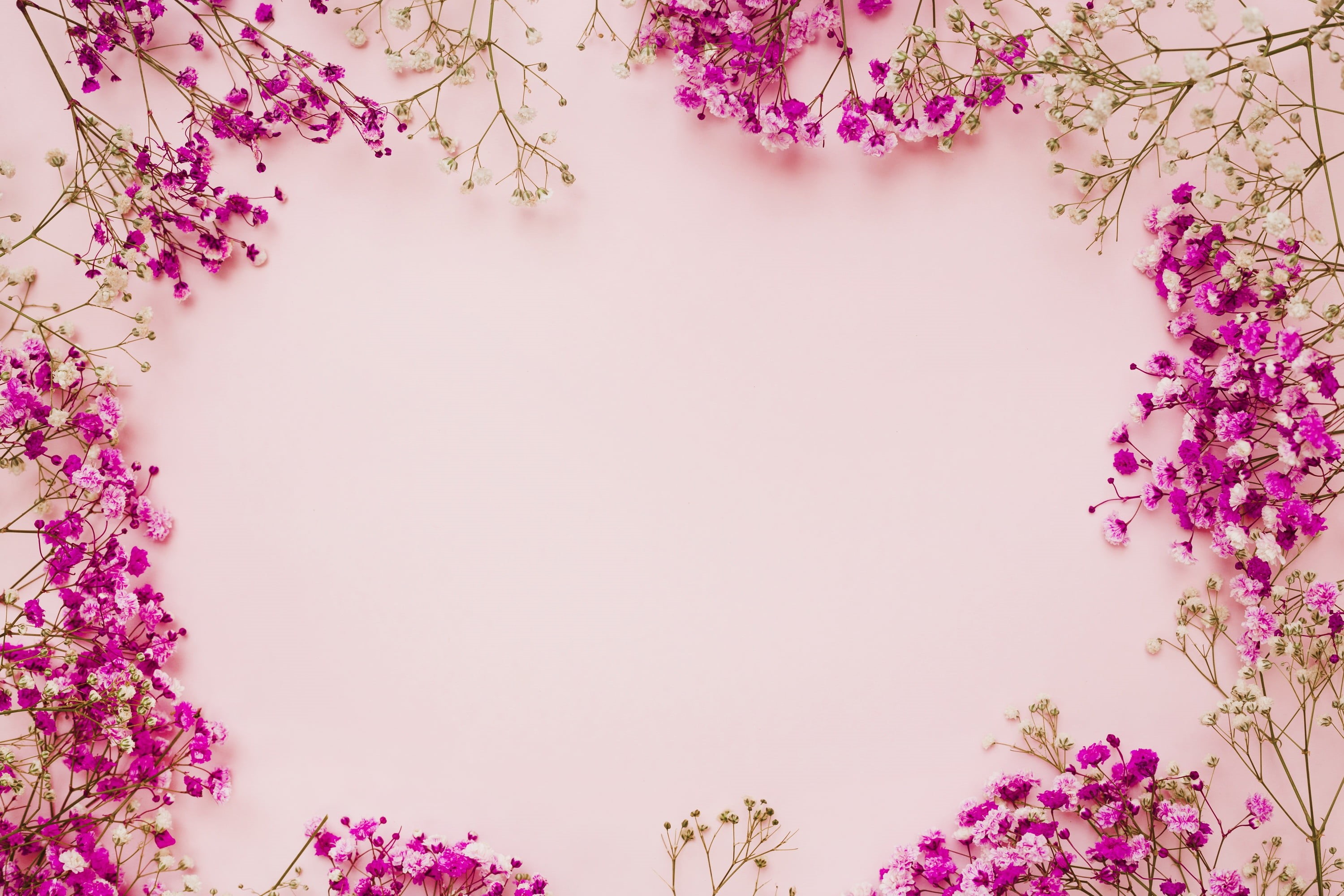 2K, background, pink, floral, frame, flowers, HD Wallpaper